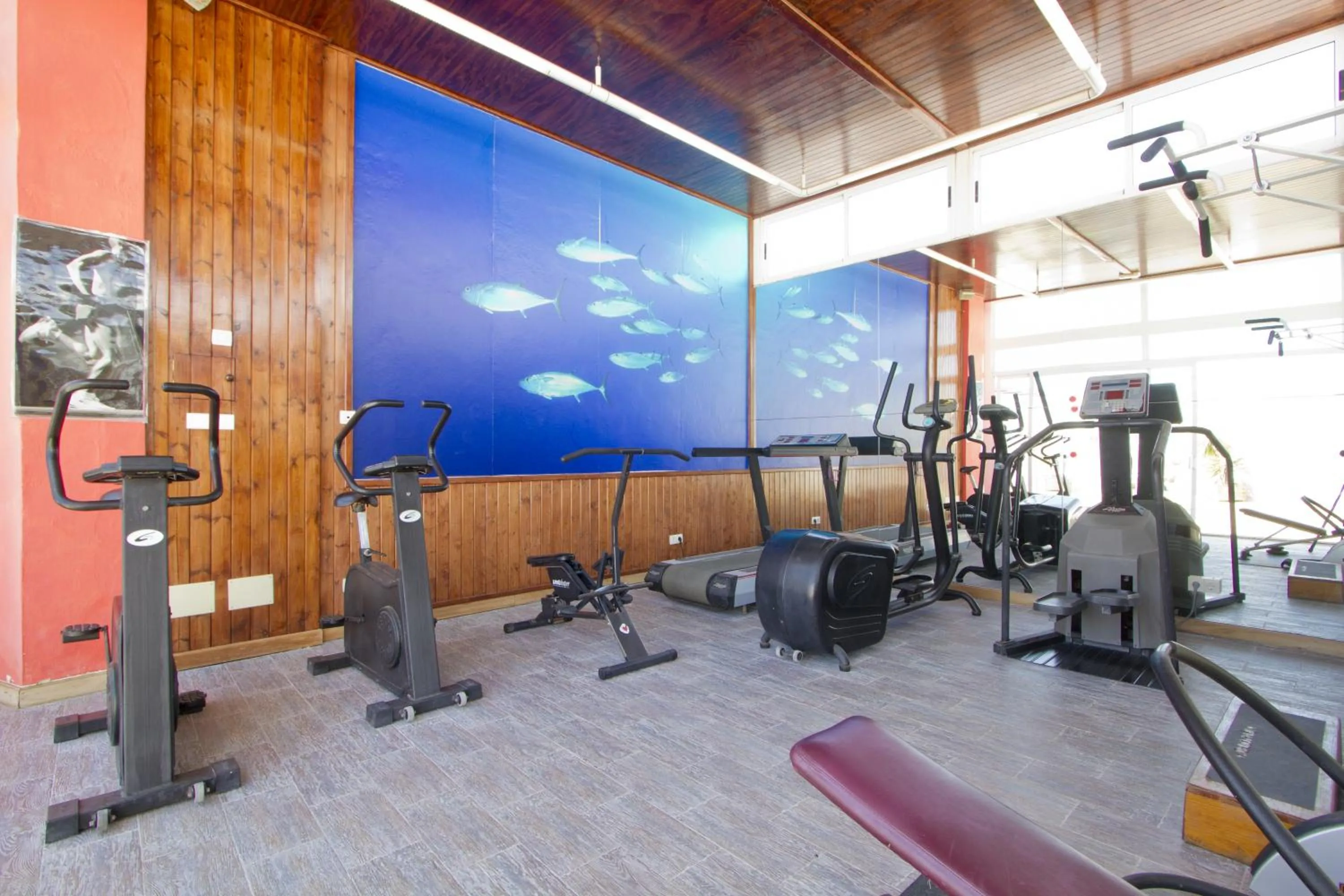 Fitness centre/facilities in Hotel Lancelot