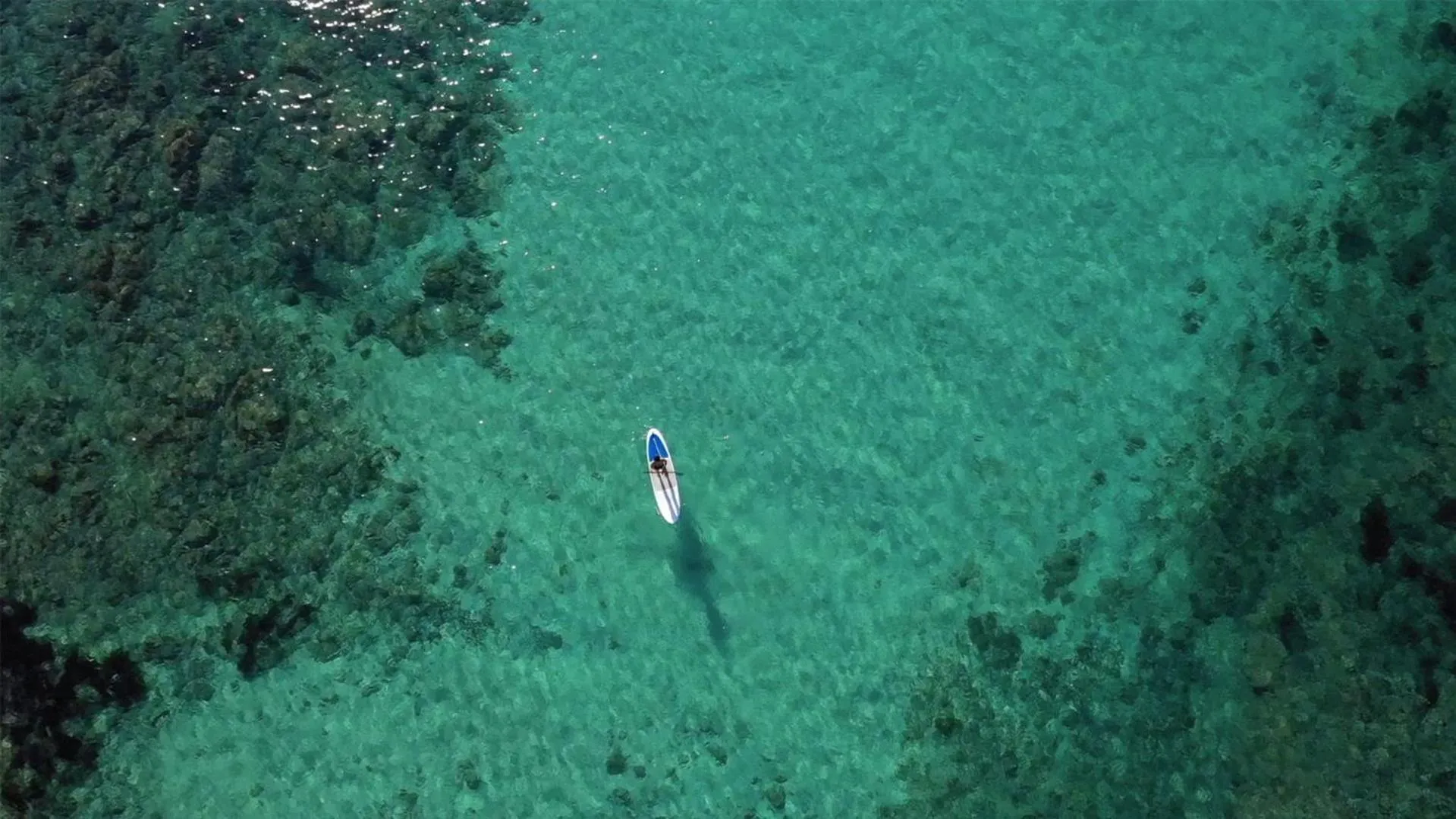 Activities in Hotel Son Caliu Spa Oasis