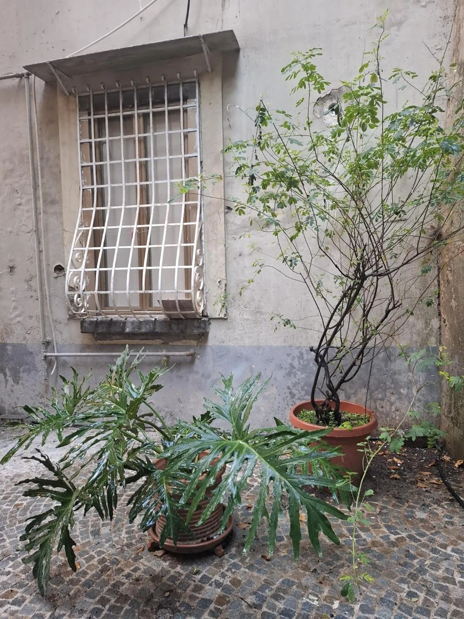 MONART HOSPITALITY Capodimonte