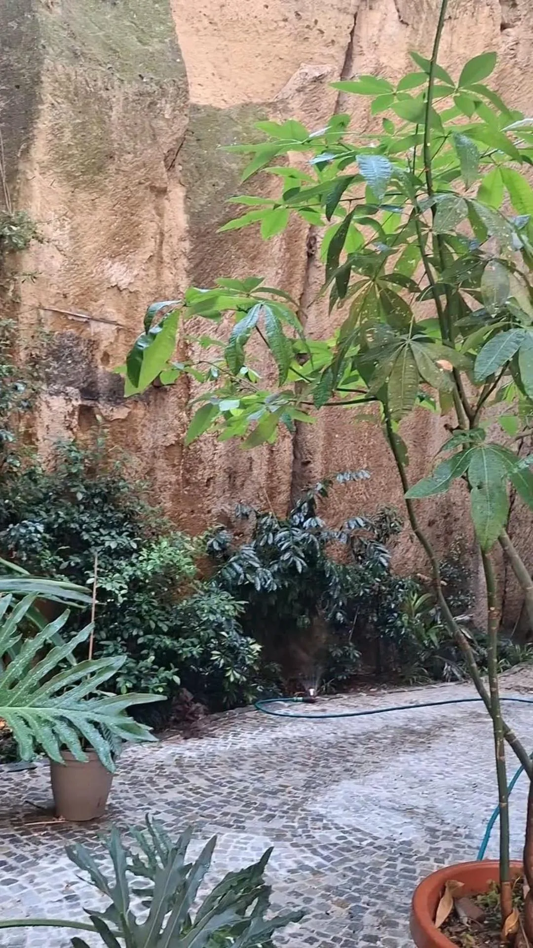 MONART HOSPITALITY Capodimonte