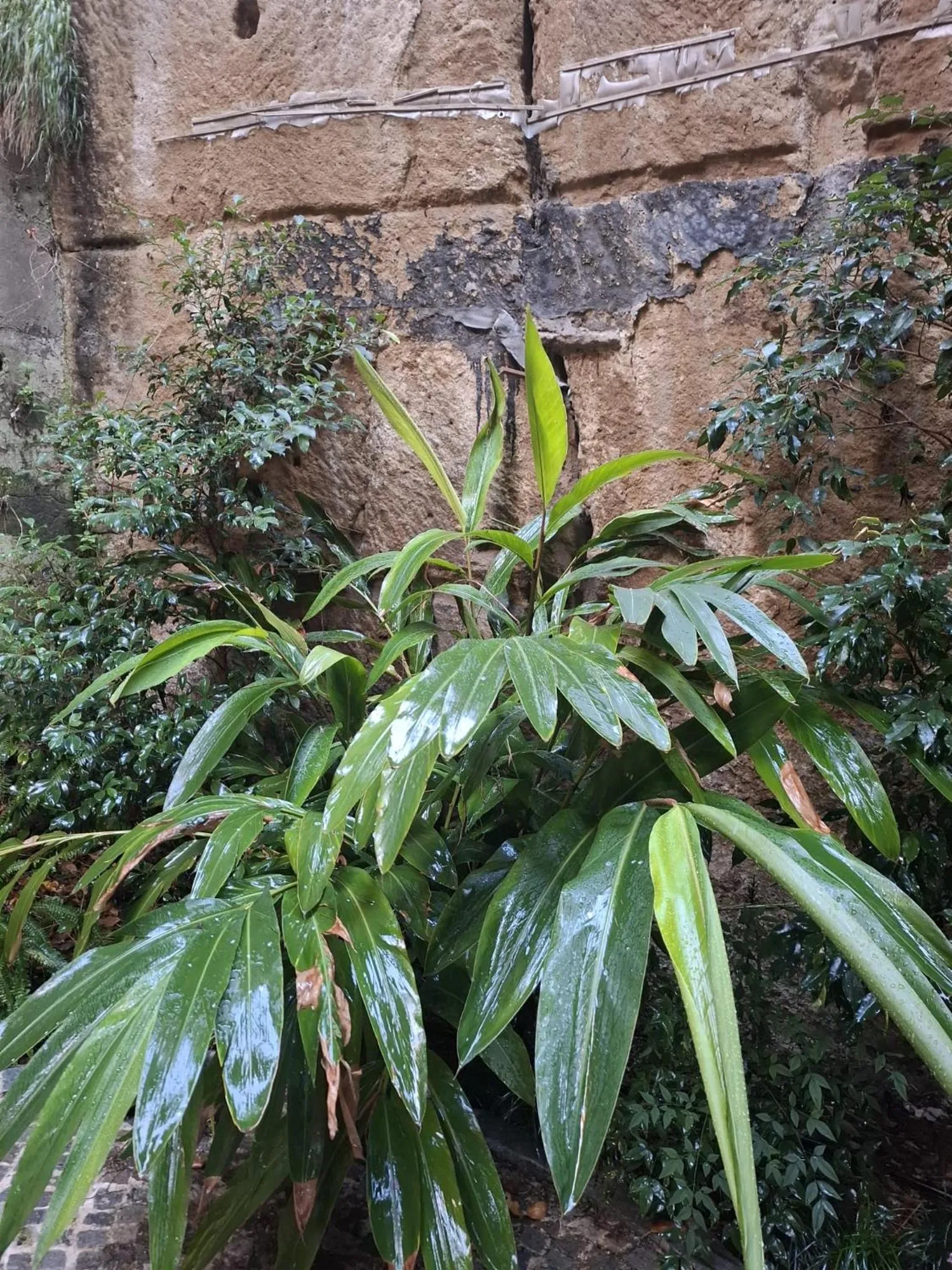 MONART HOSPITALITY Capodimonte