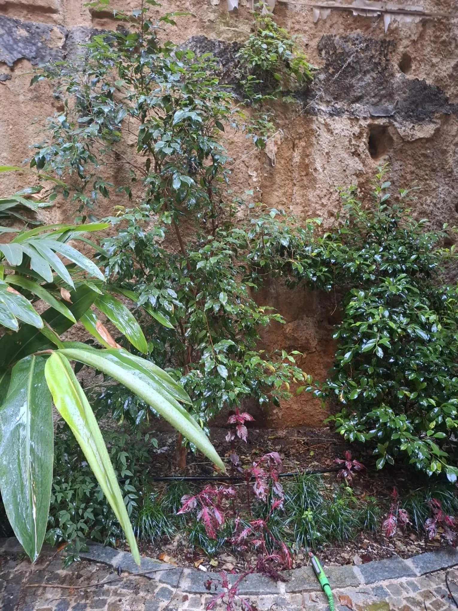 MONART HOSPITALITY Capodimonte