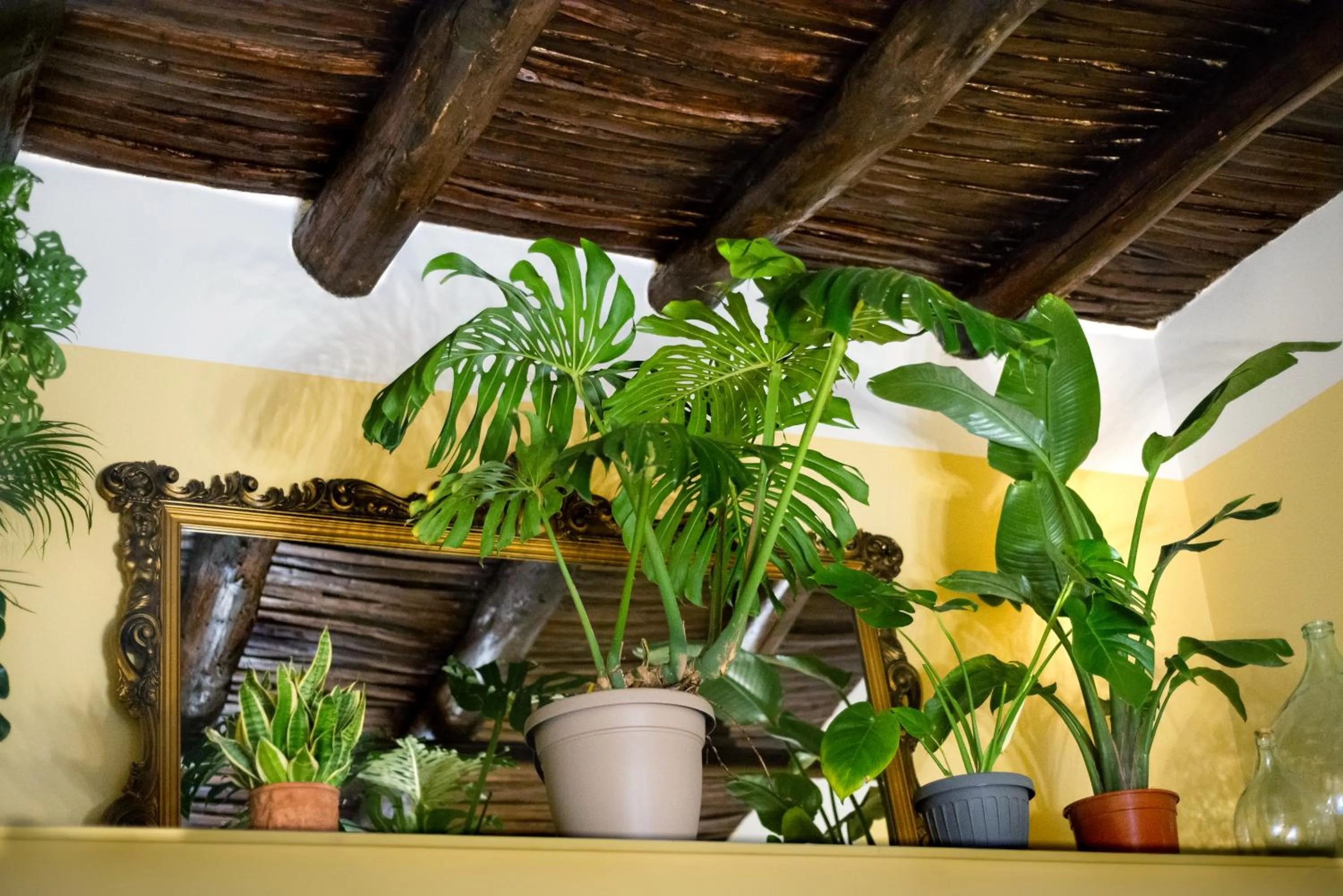 MONART HOSPITALITY Capodimonte