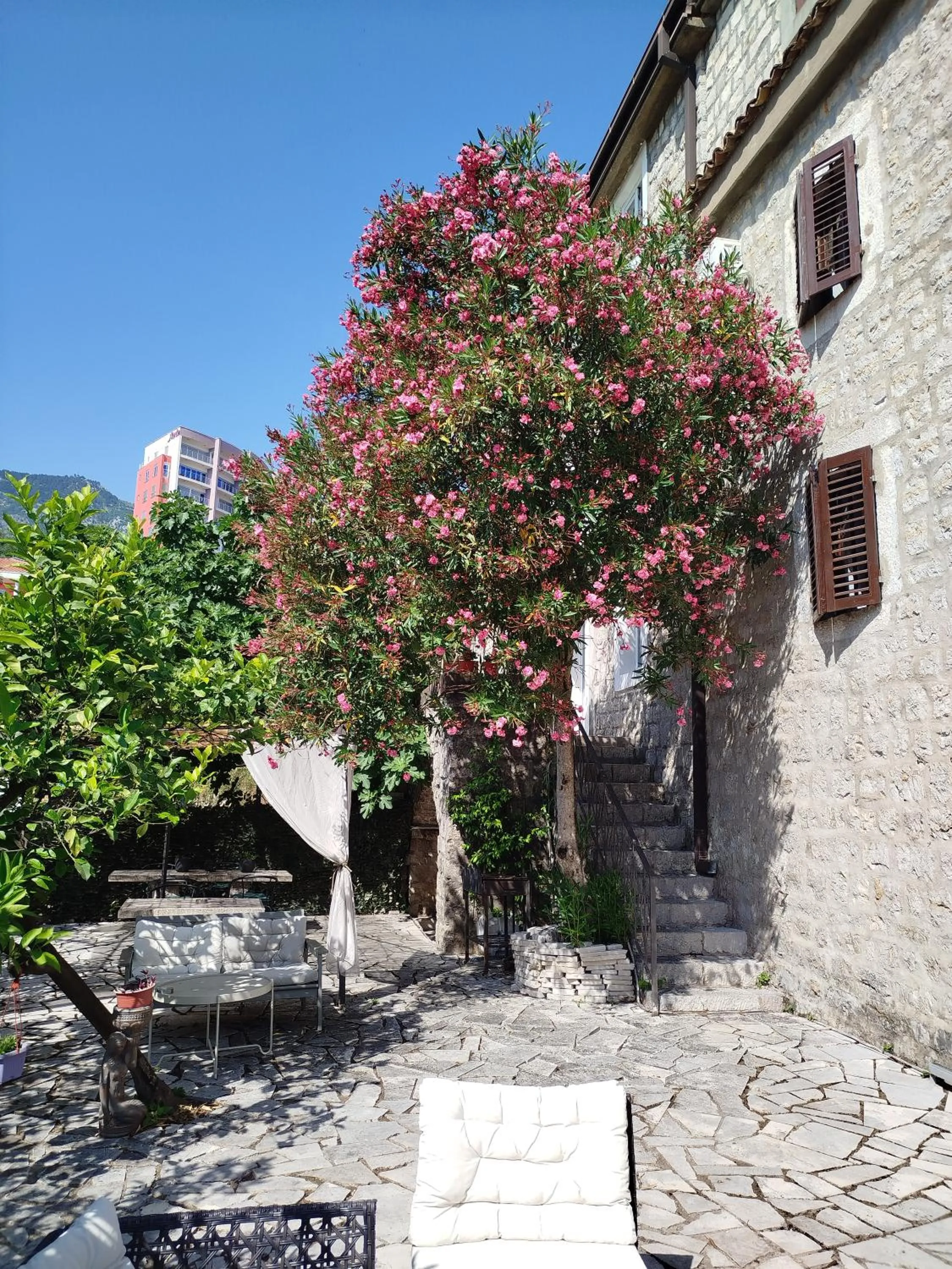 Garden in Serenita Stone House