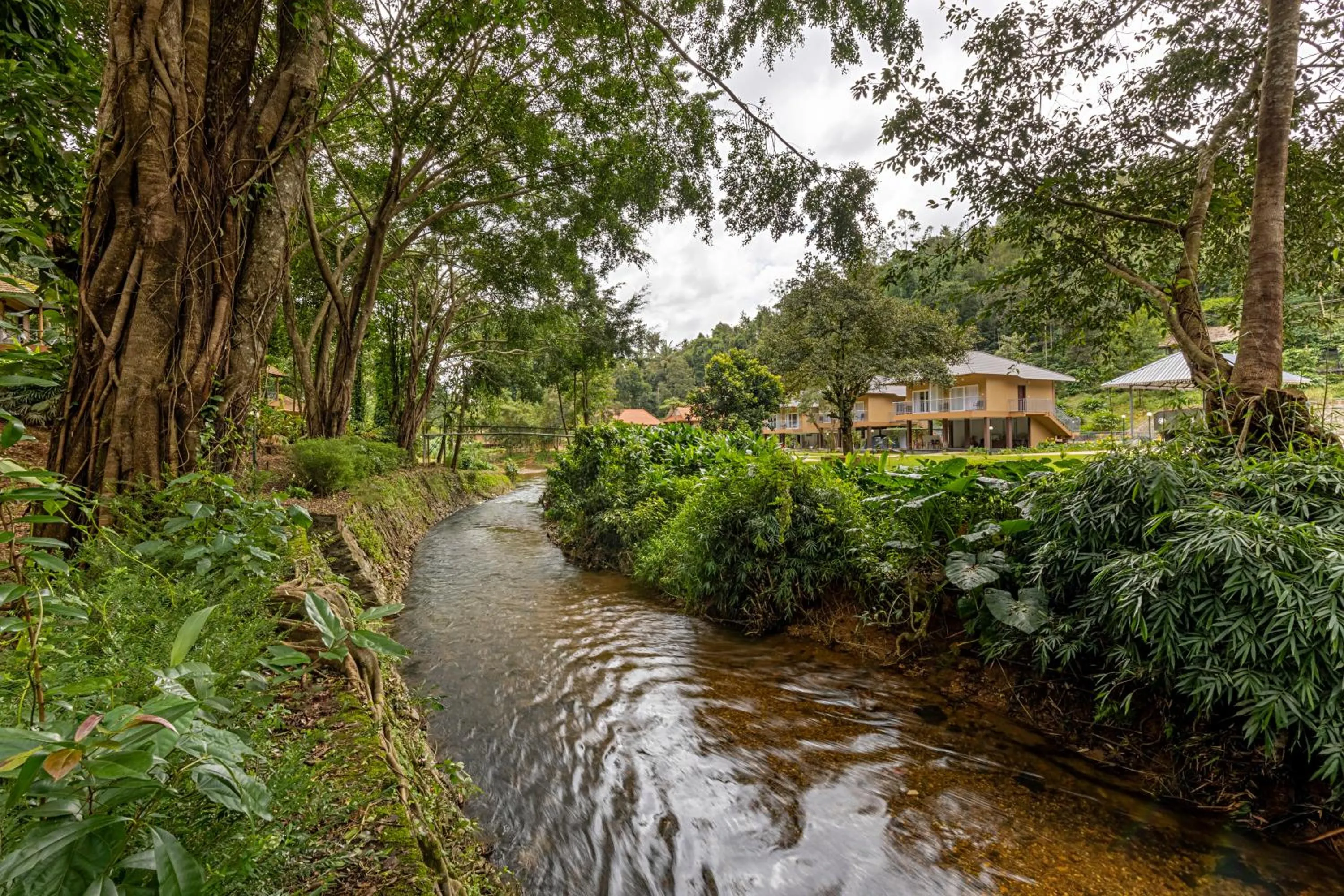 Property building in Sterling Vythiri Wayanad