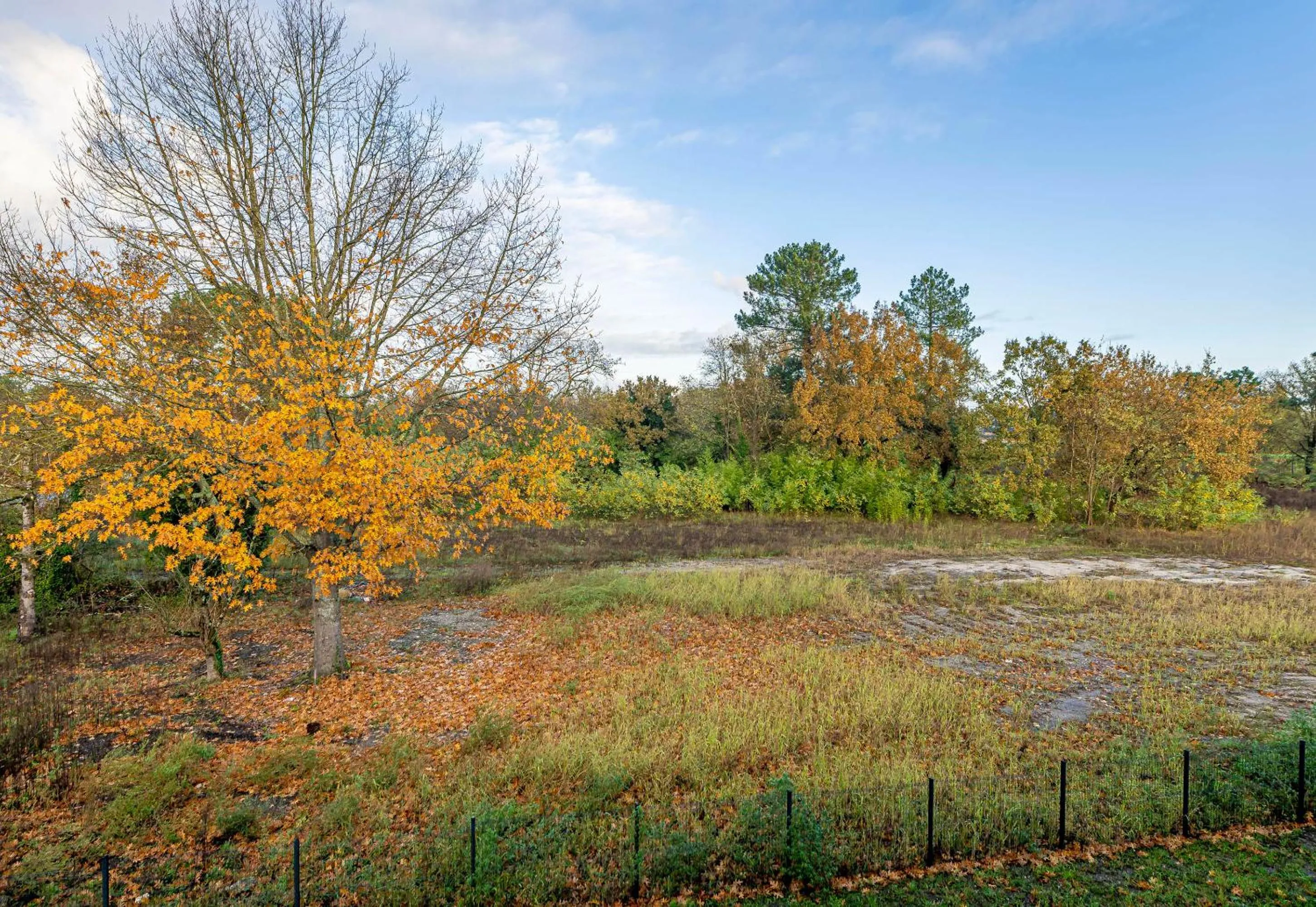 View (from property/room) in B&B HOTEL Bordeaux Saint André de Cubzac