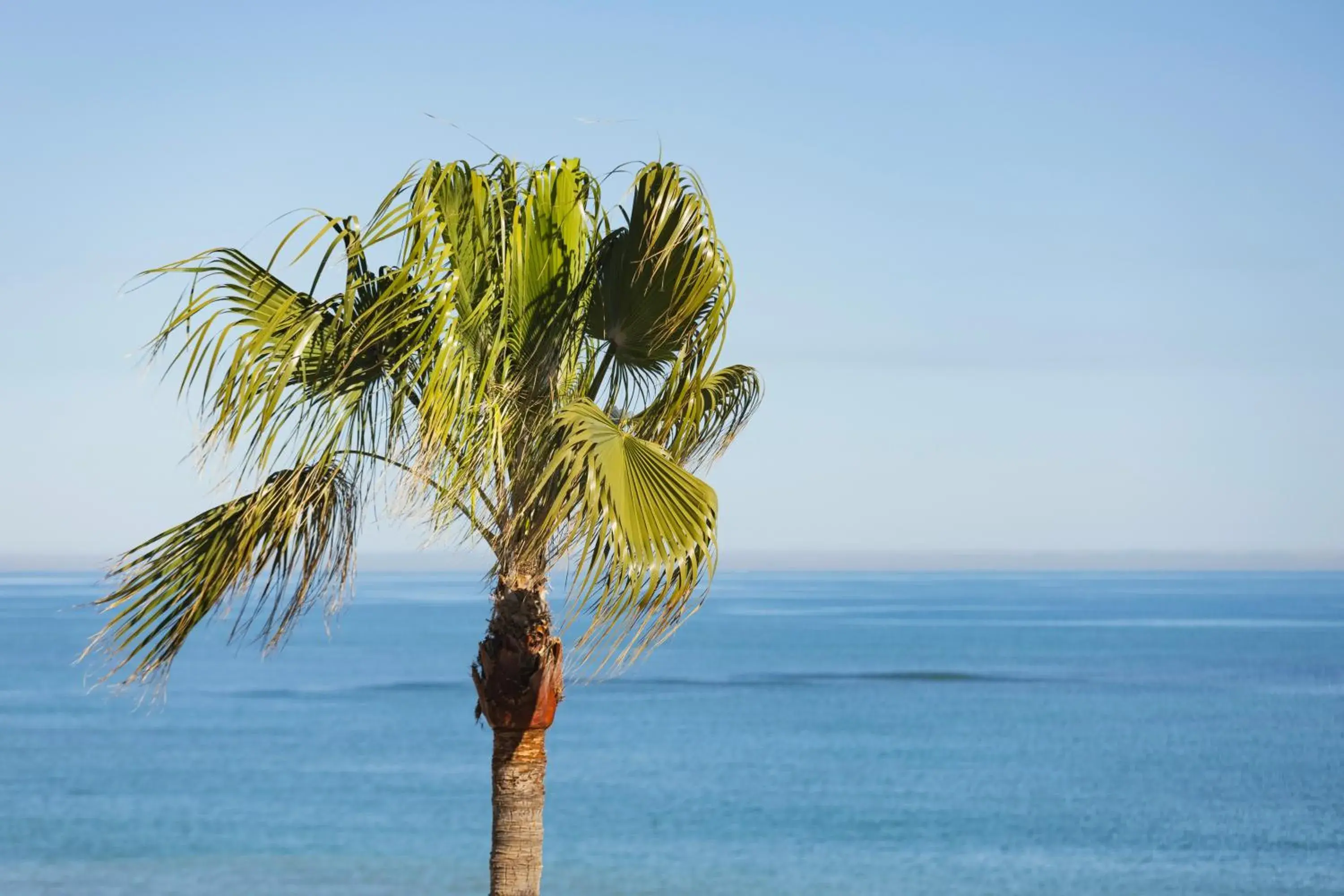 Sea view in Hotel Los Ángeles Denia Sea view in Hotel Los Ángeles Denia