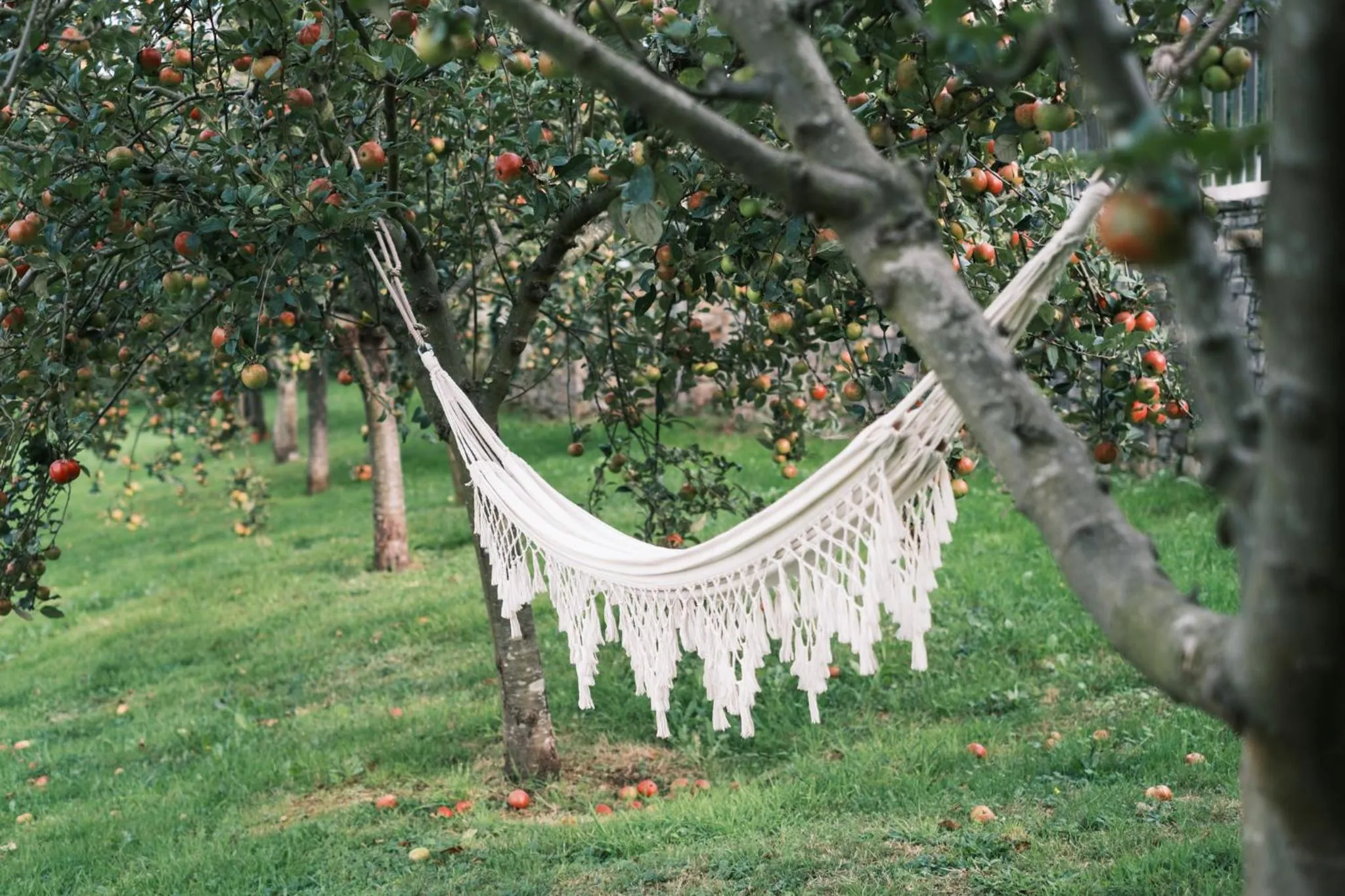 Garden in Hotel Rural Casona de Cefontes