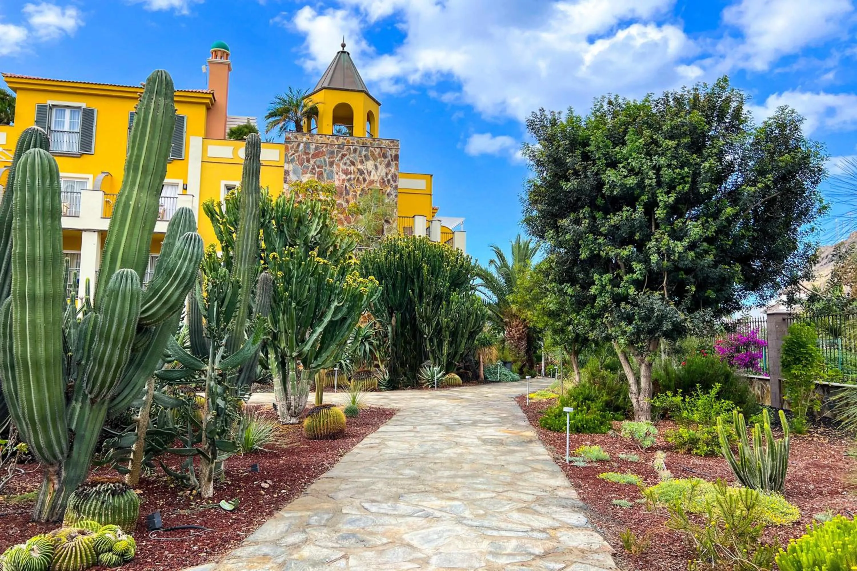 Garden in Hotel Cordial Mogán Playa