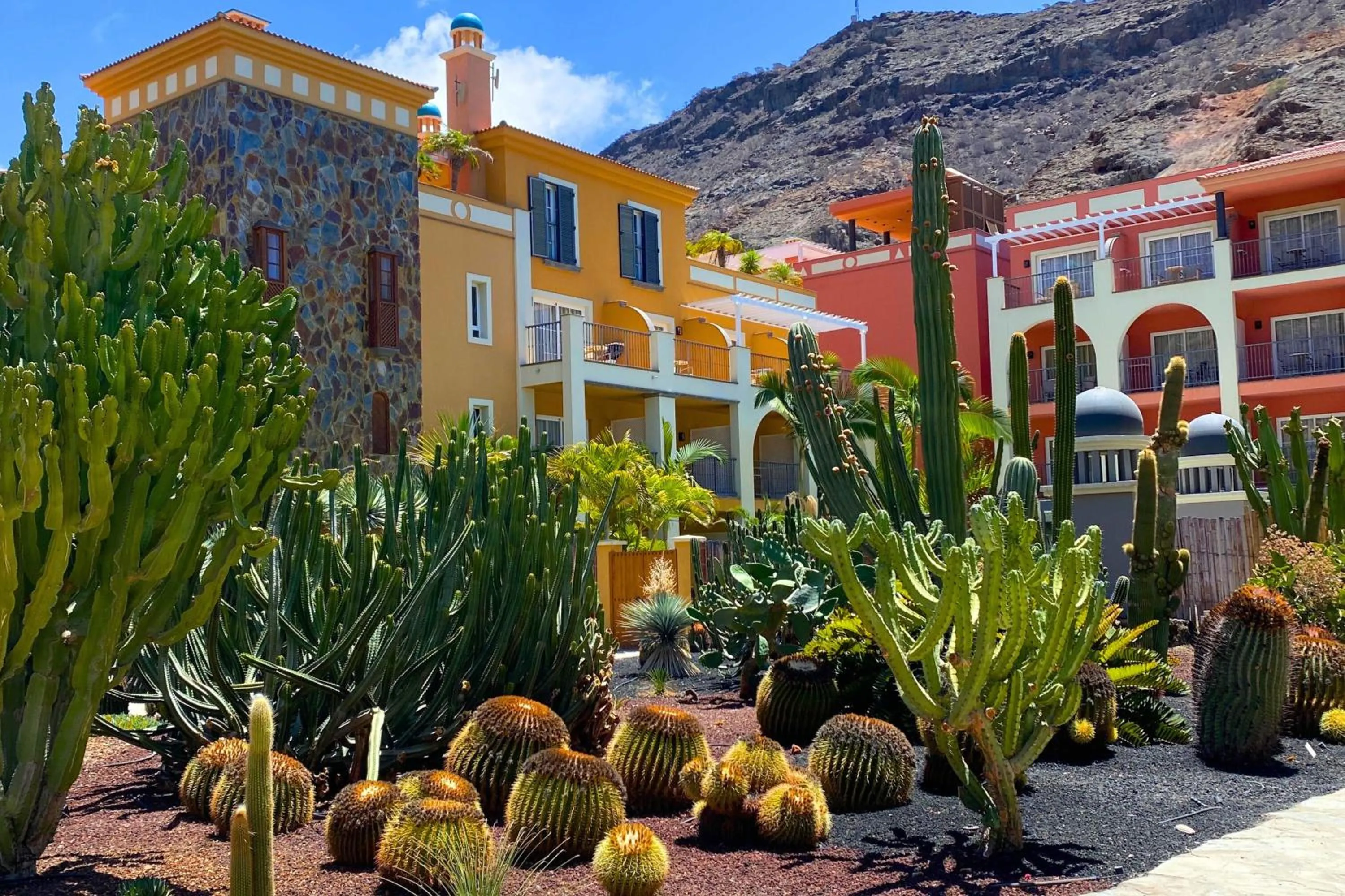 Garden in Hotel Cordial Mogán Playa