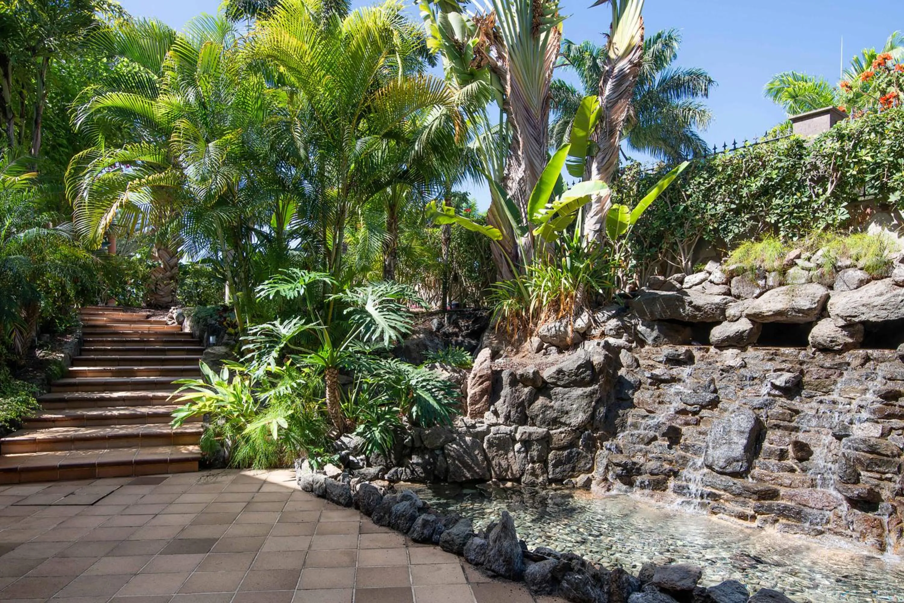 Garden in Hotel Cordial Mogán Playa