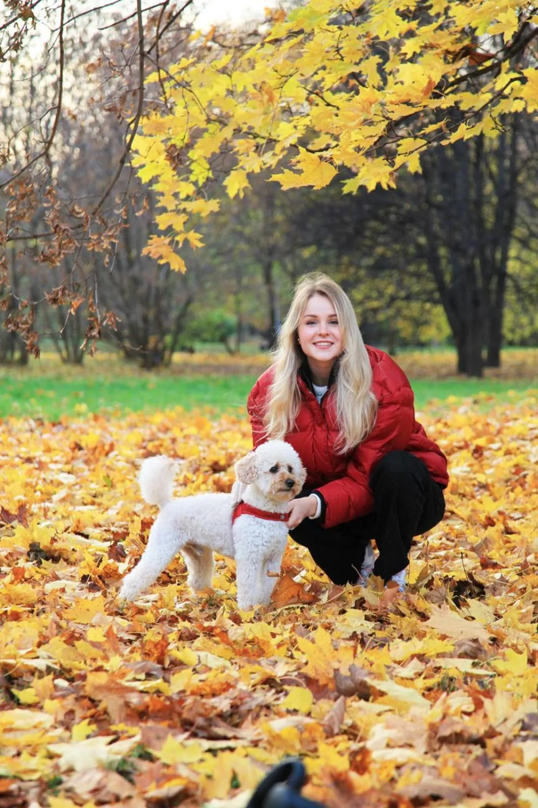 Area and facilities in Gästehotel Lucendi Premium Lounge