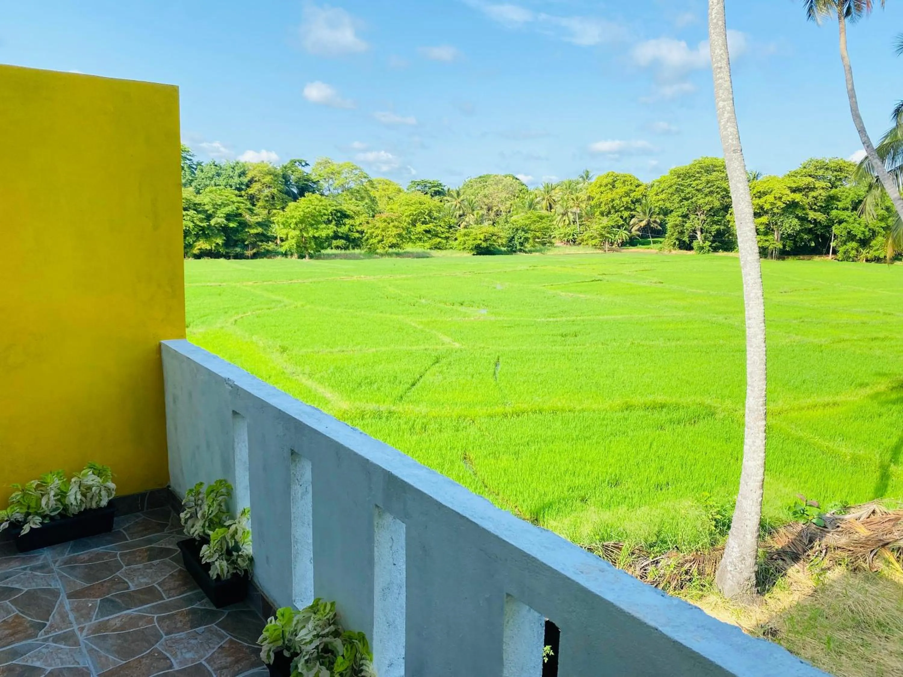 Garden view in Anuradhapura Kingdom View Resort