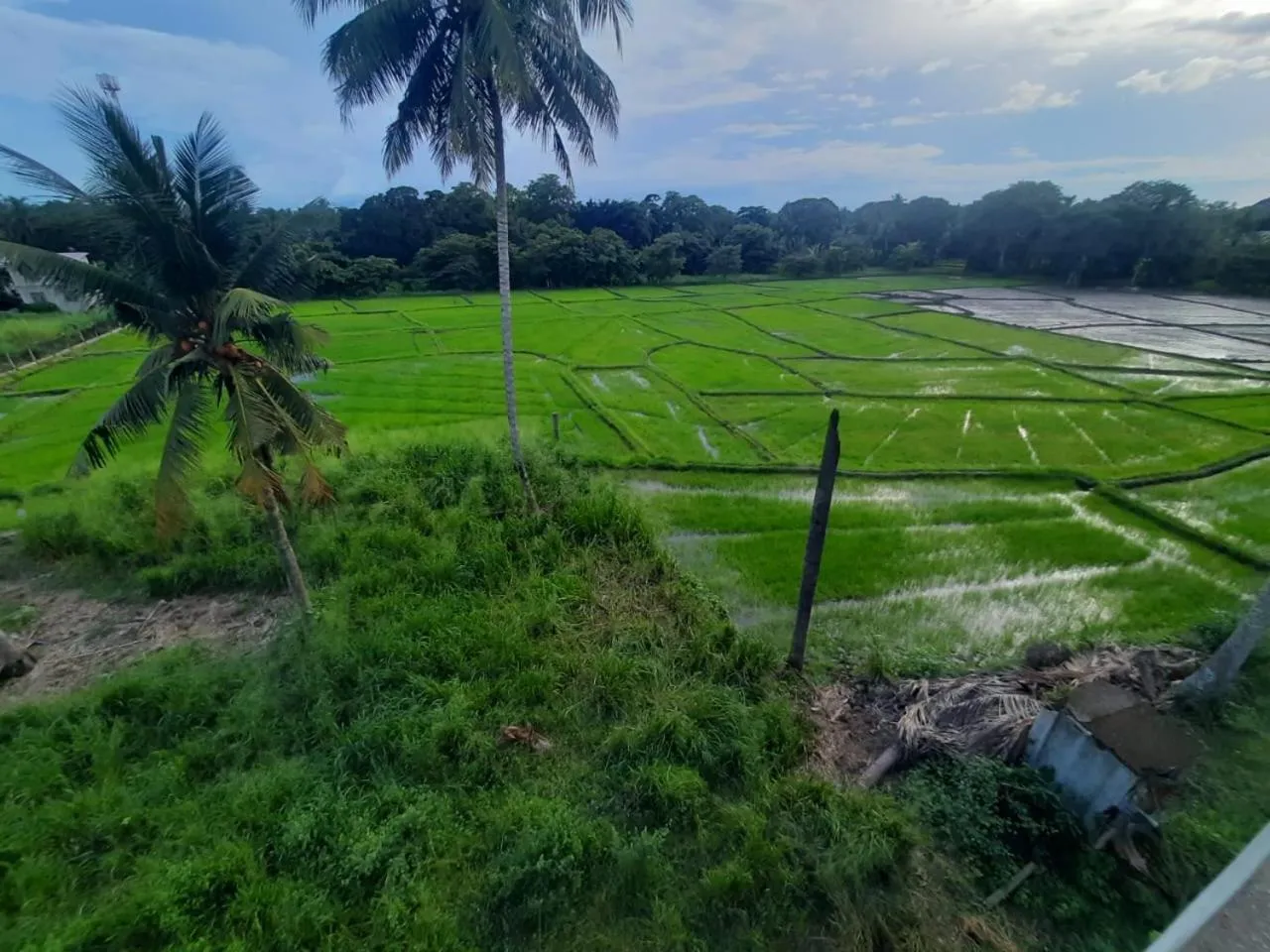 Natural landscape in Anuradhapura Kingdom View Resort