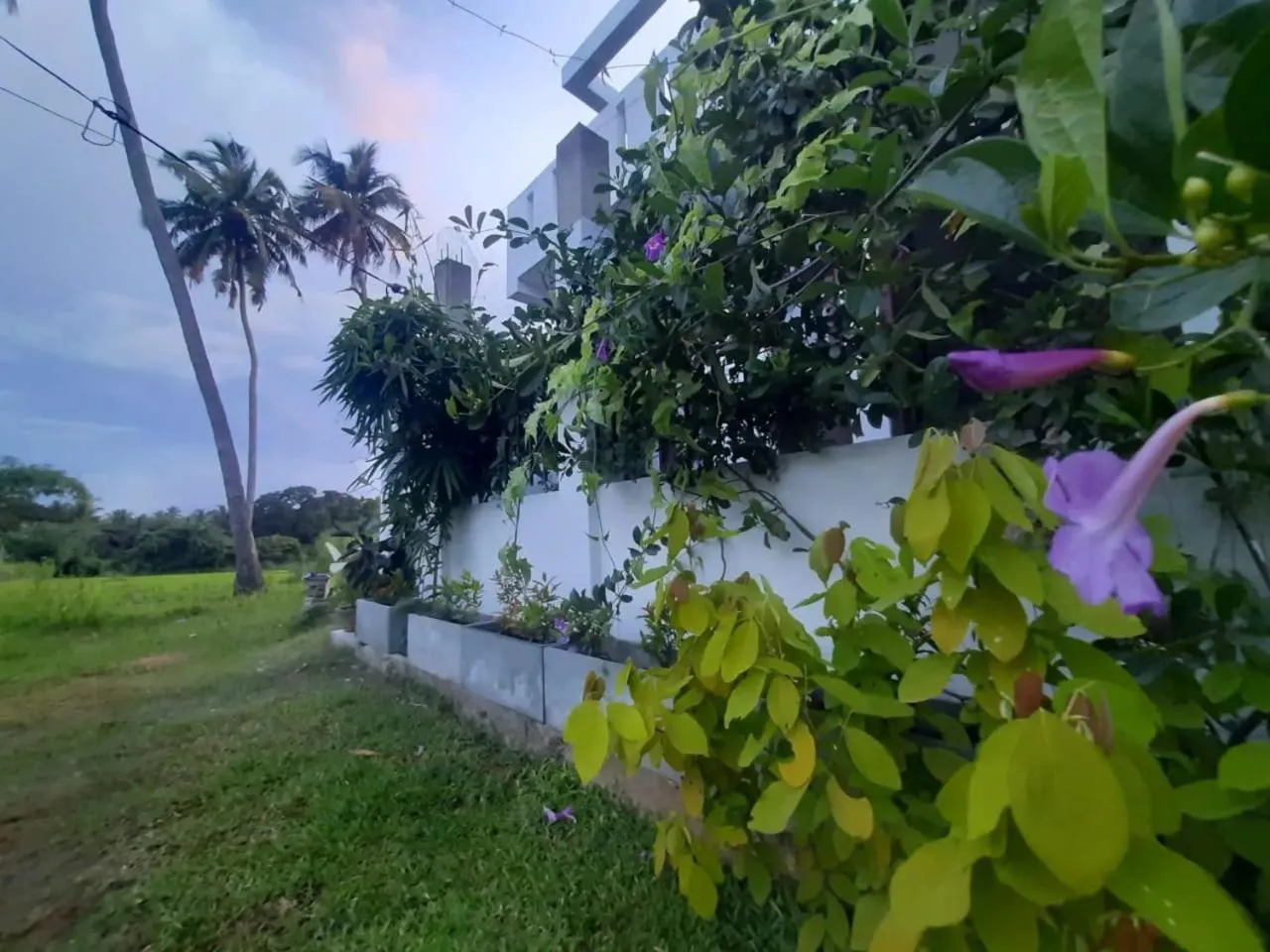 Garden in Anuradhapura Kingdom View Resort