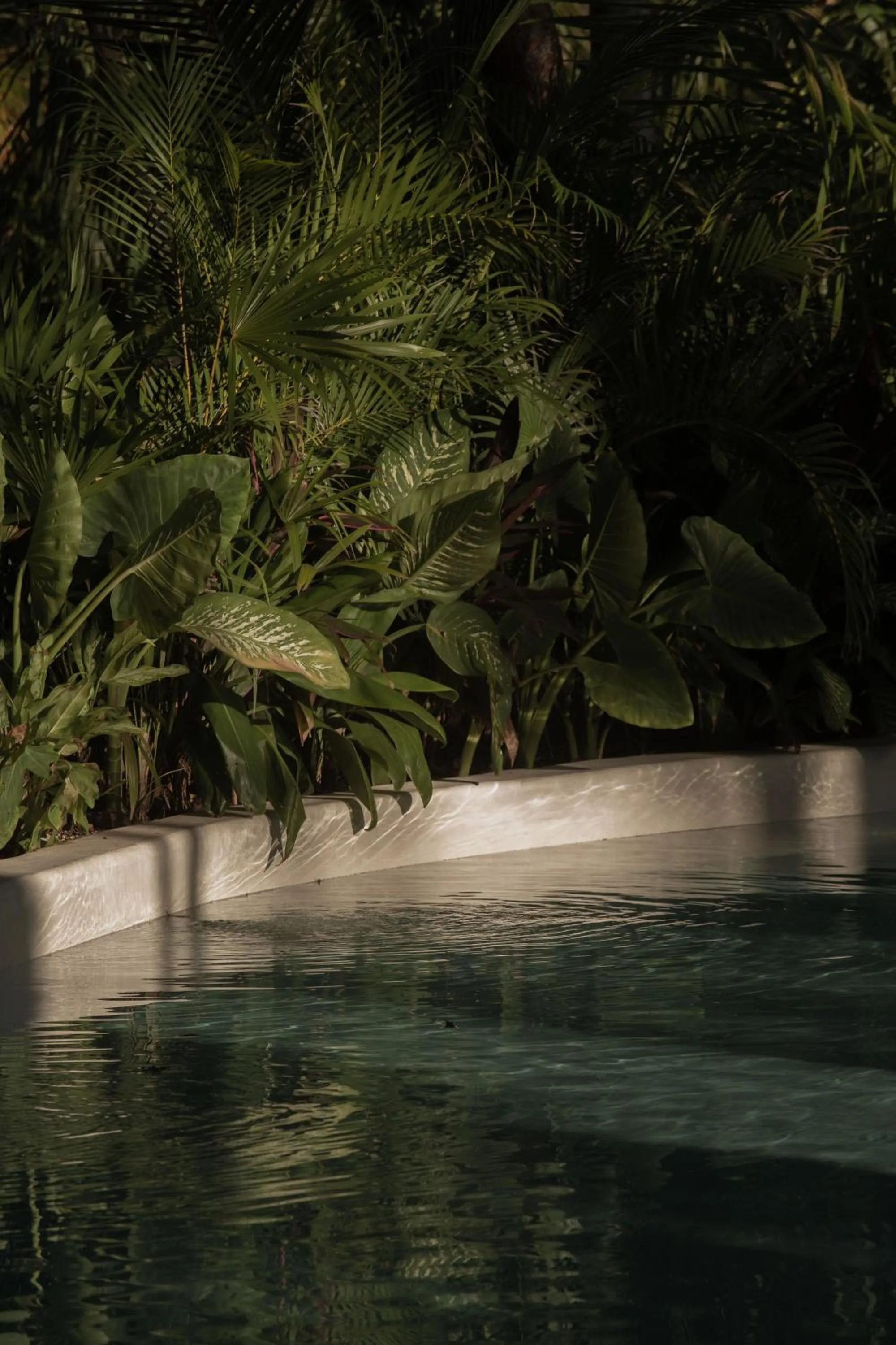 Night in Hotel Milam