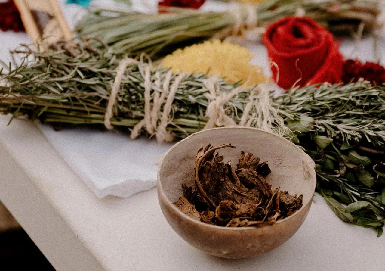 Spa and wellness centre/facilities in Hotel Milam