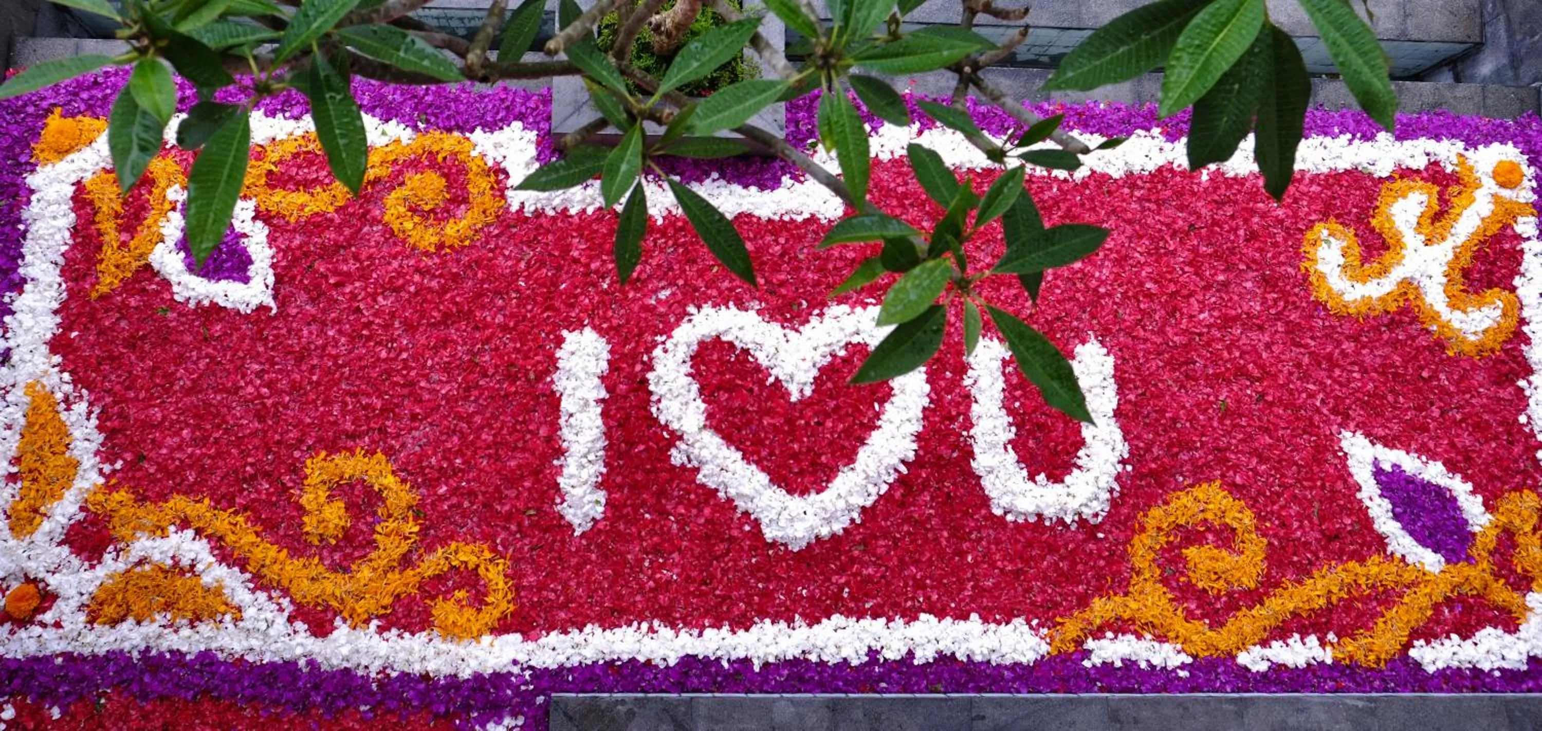 Horison Ume Suites & Villas