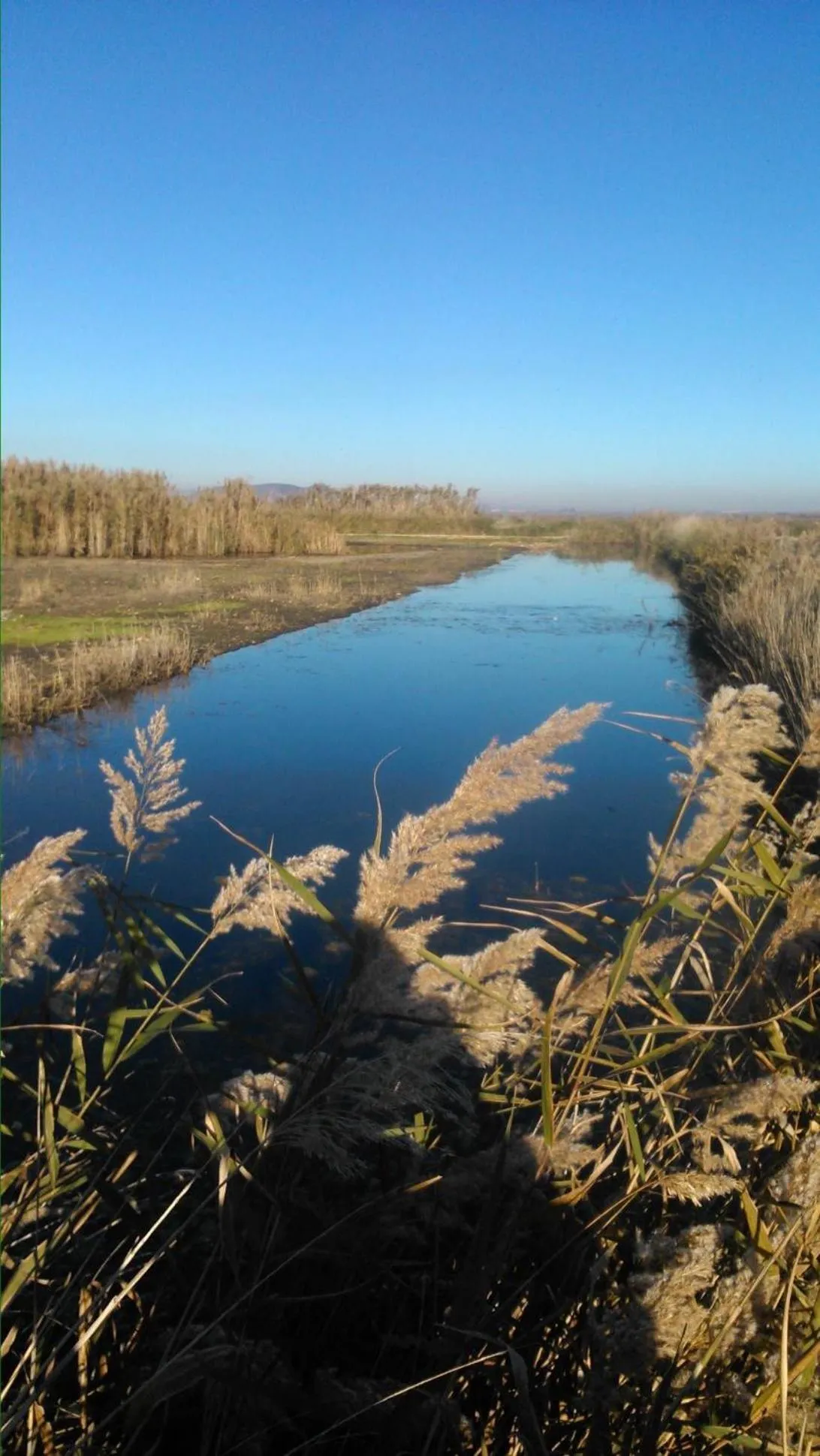 Natural landscape in Hotel Reig