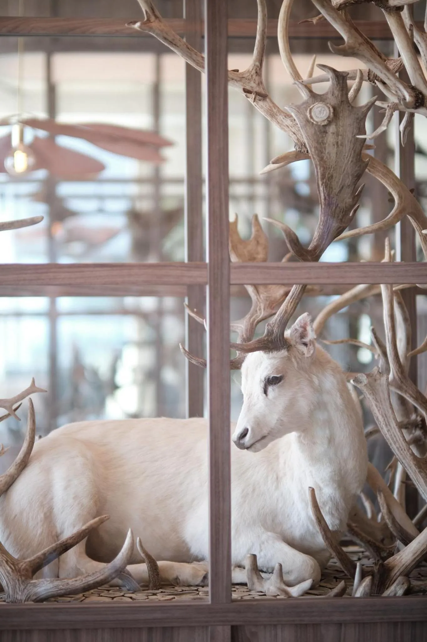 Lobby or reception in Boutique Hotel Blendin Bloemendaal aan Zee