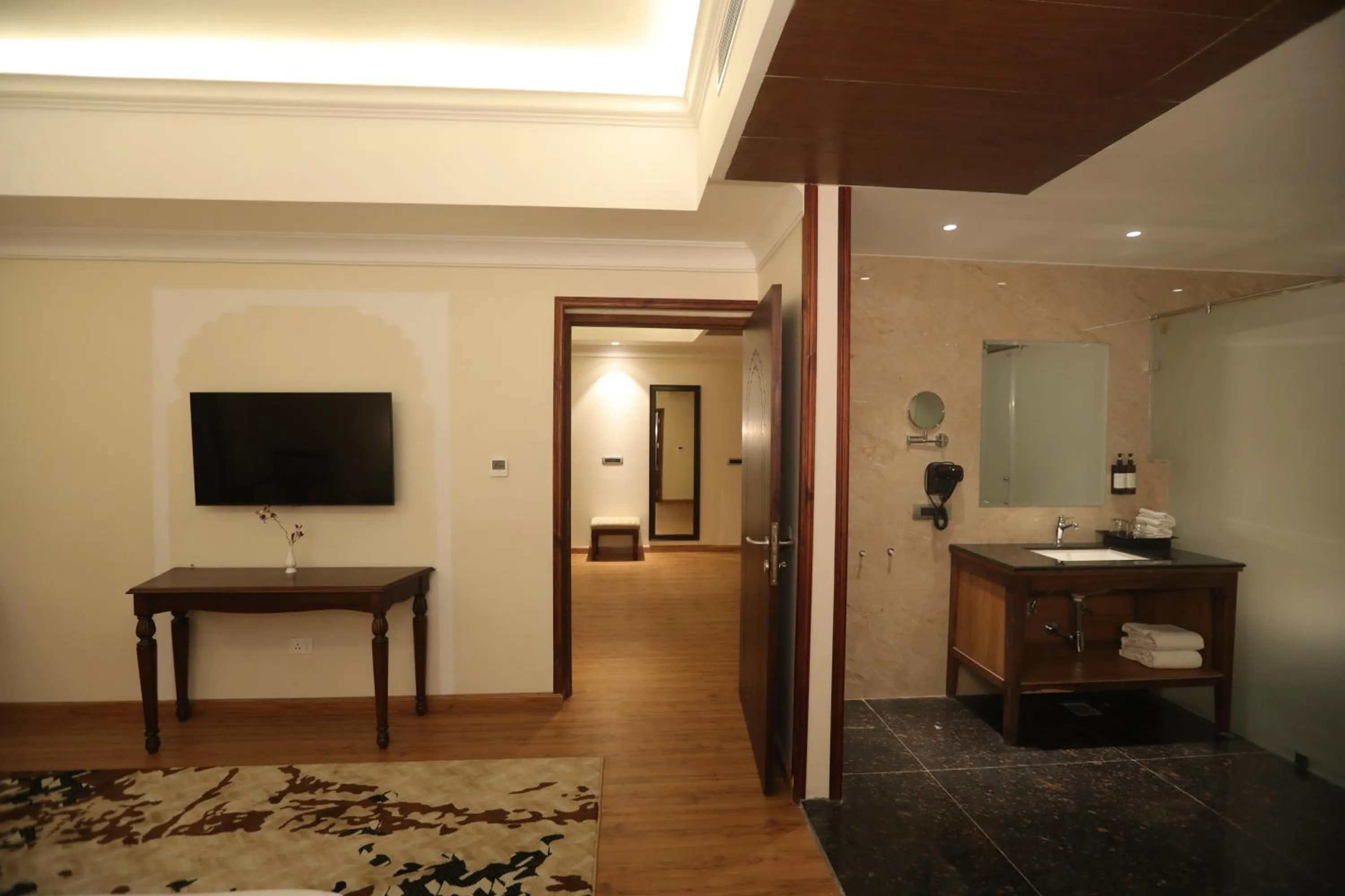 TV and multimedia in Regenta City Vilas Palace Ambala