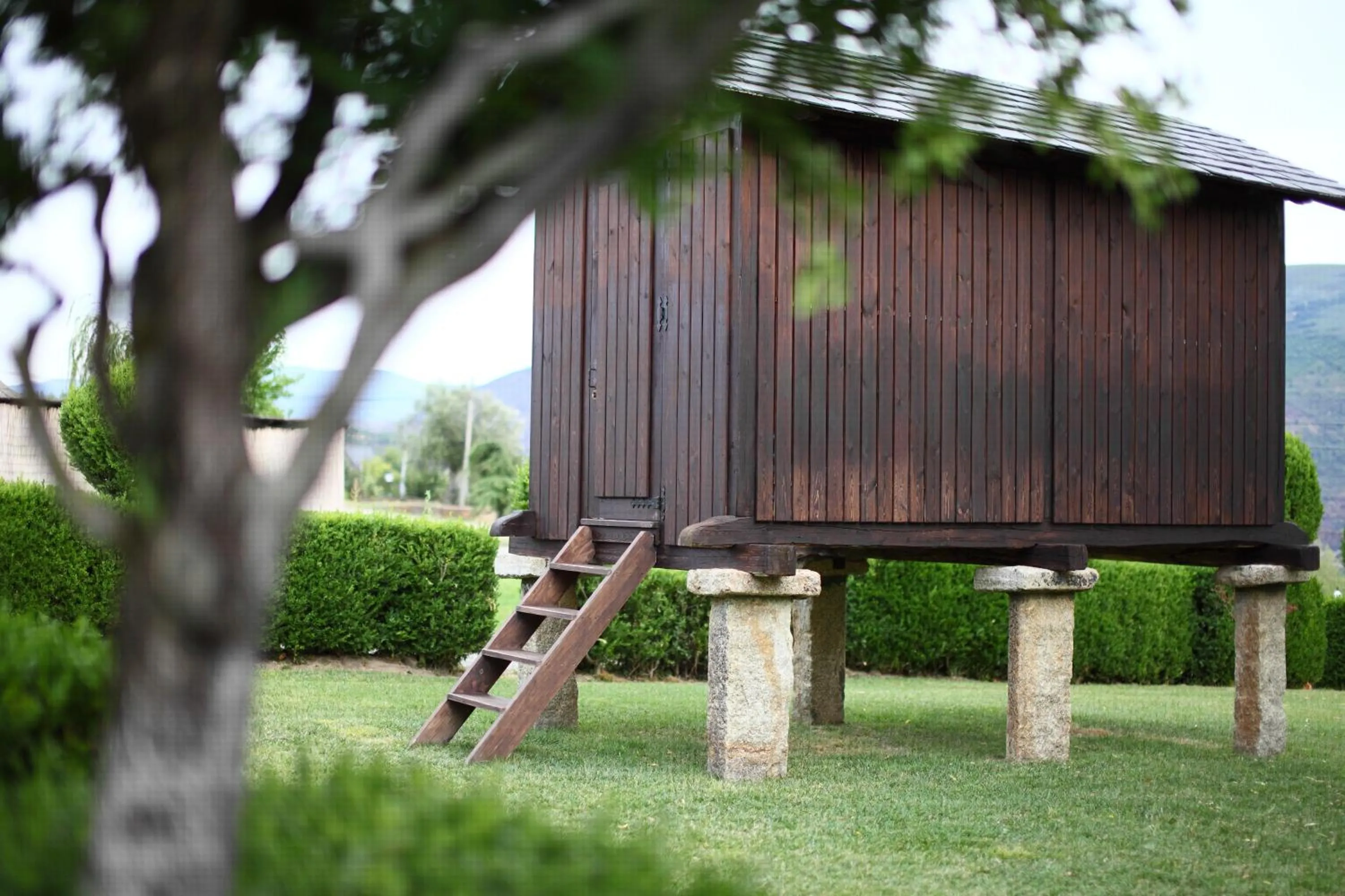 Garden in Hotel Monumento Pazo do Castro