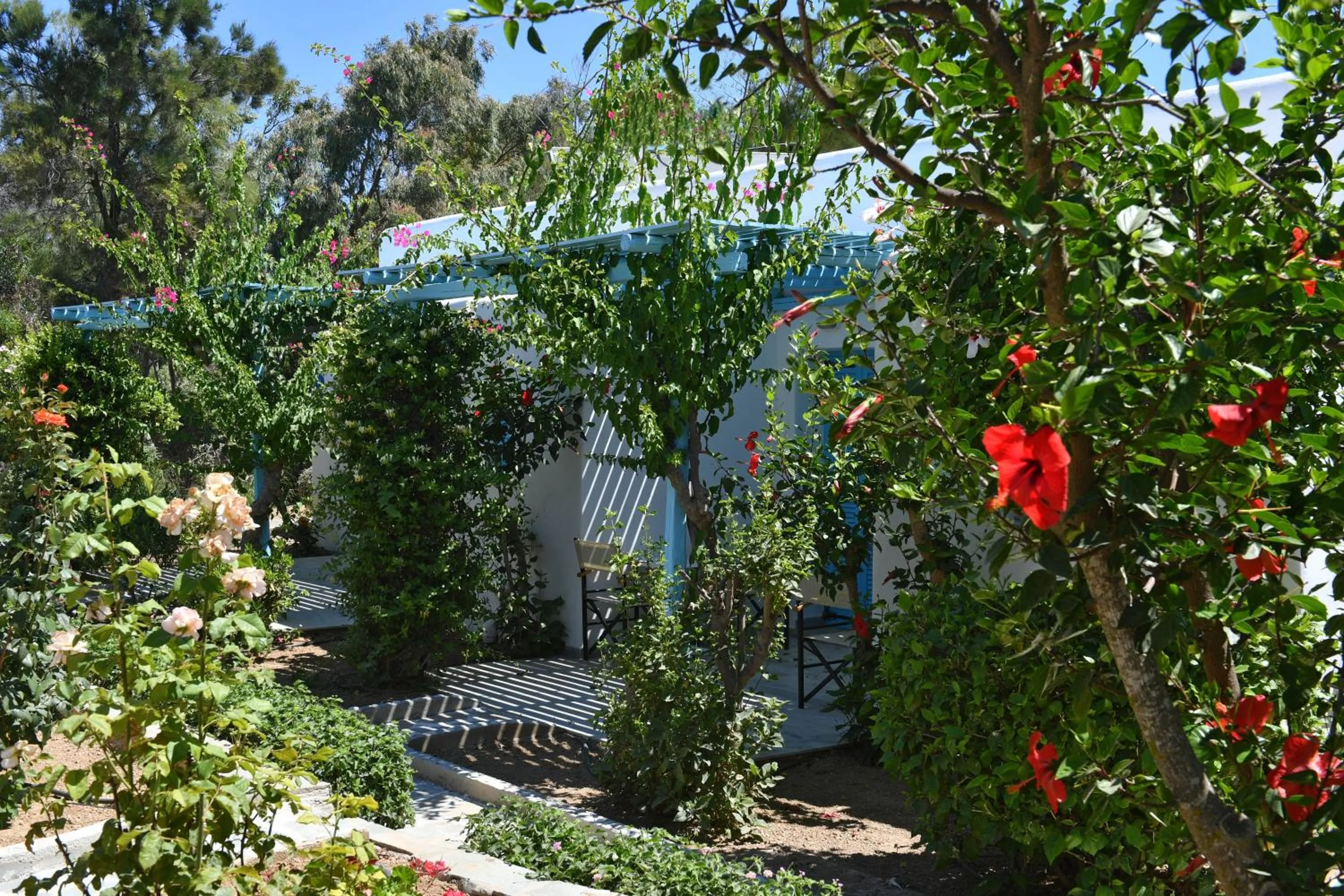 Garden in Surfing Beach Village Paros