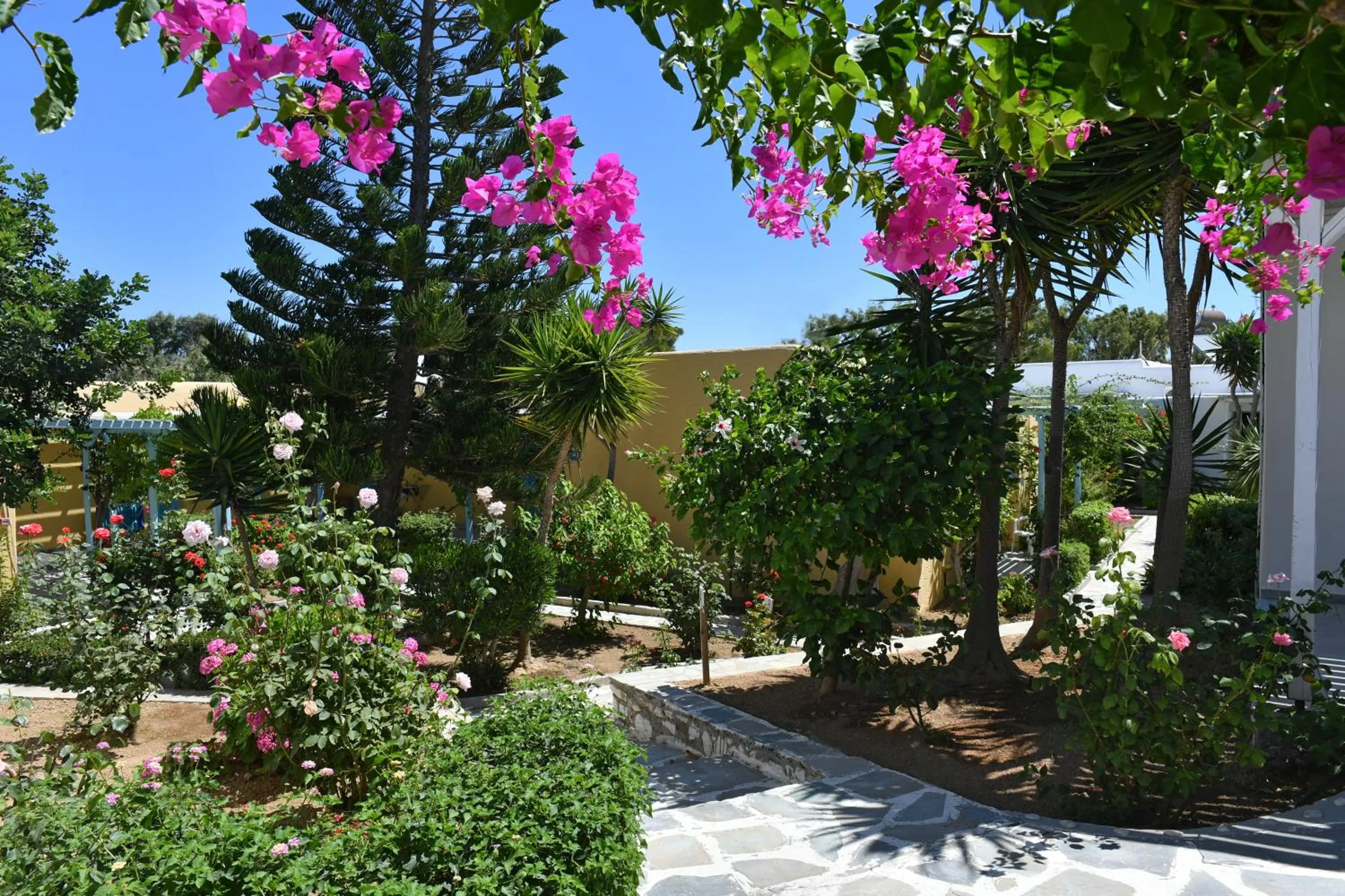 Garden in Surfing Beach Village Paros