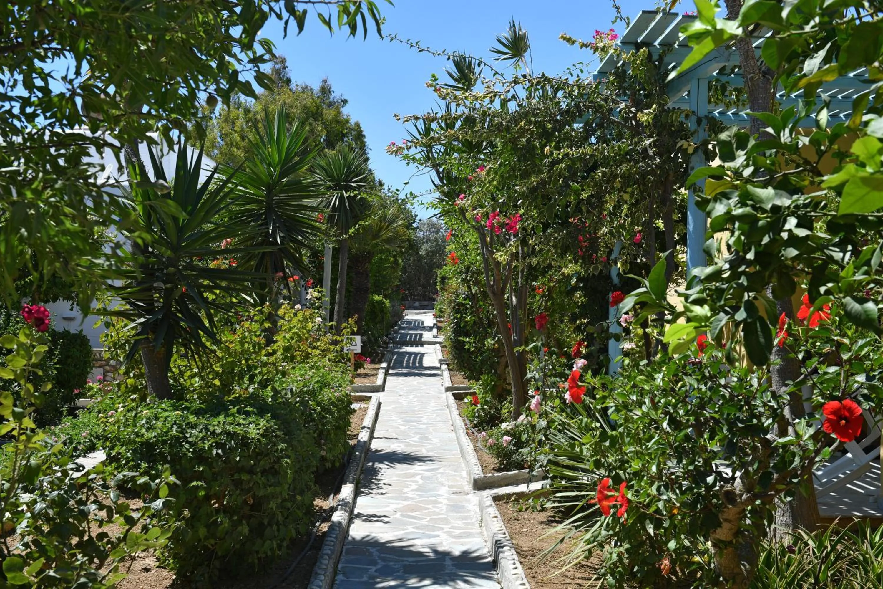 Garden in Surfing Beach Village Paros