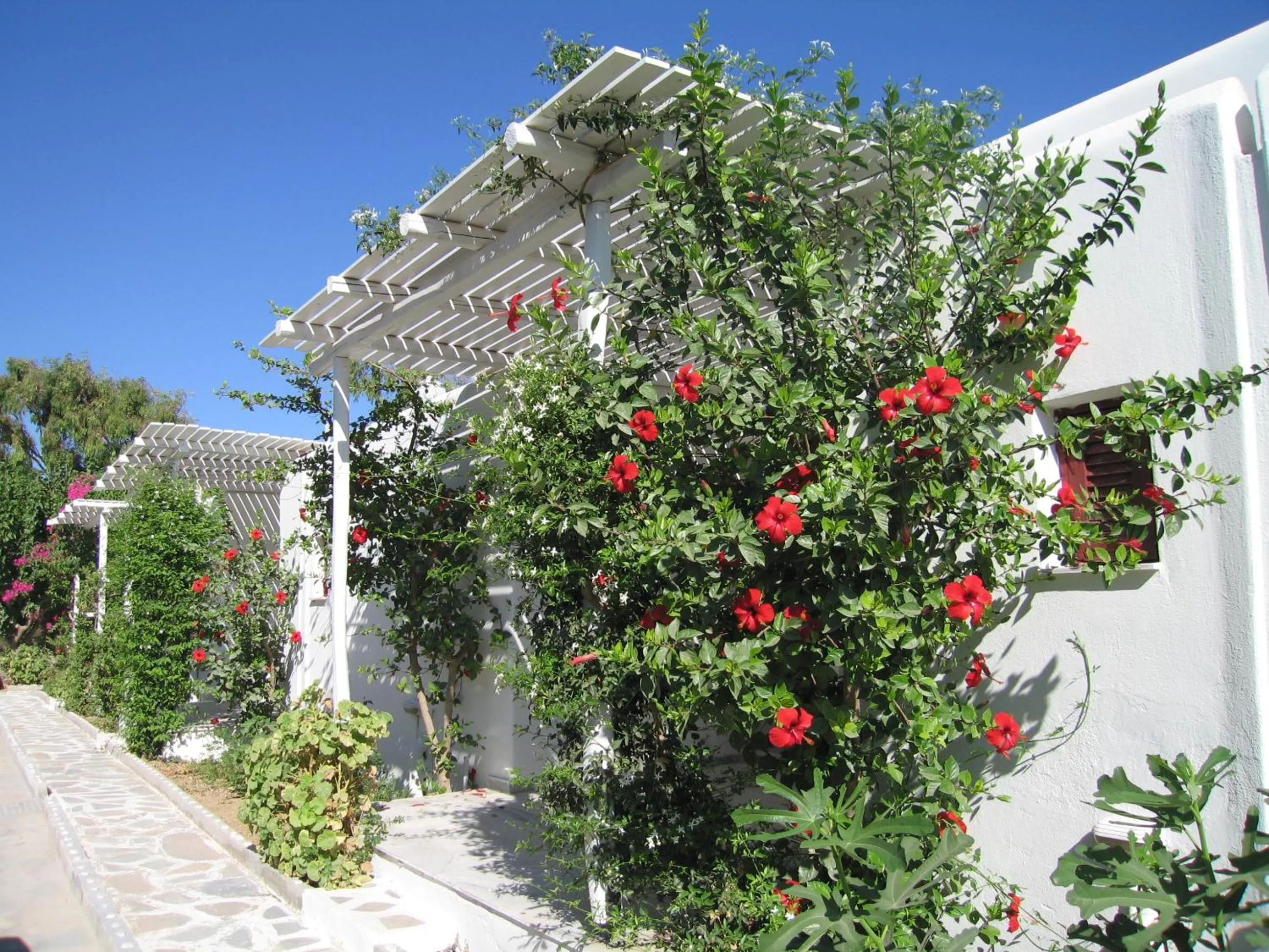 Facade/entrance in Surfing Beach Village Paros