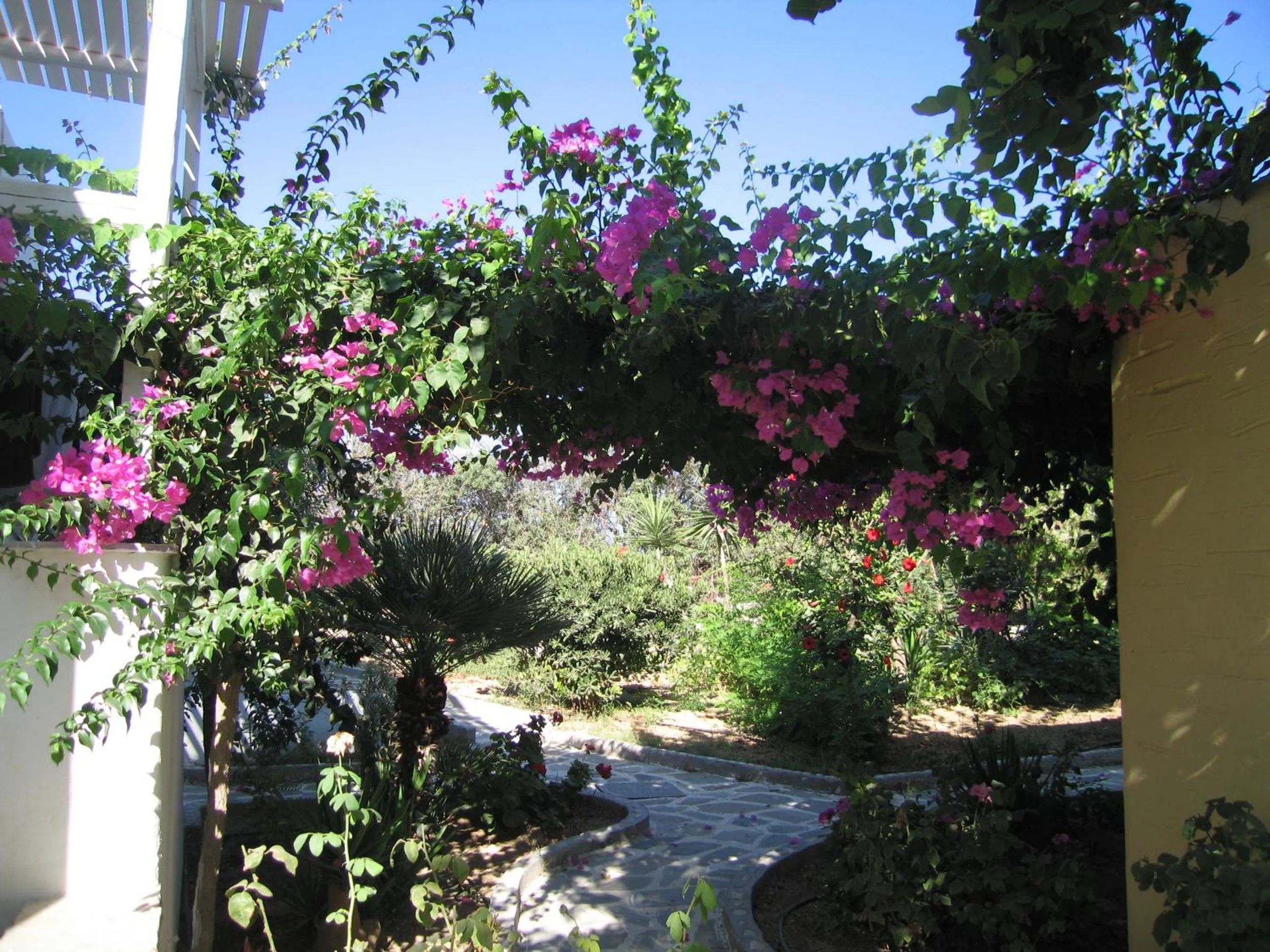Garden in Surfing Beach Village Paros