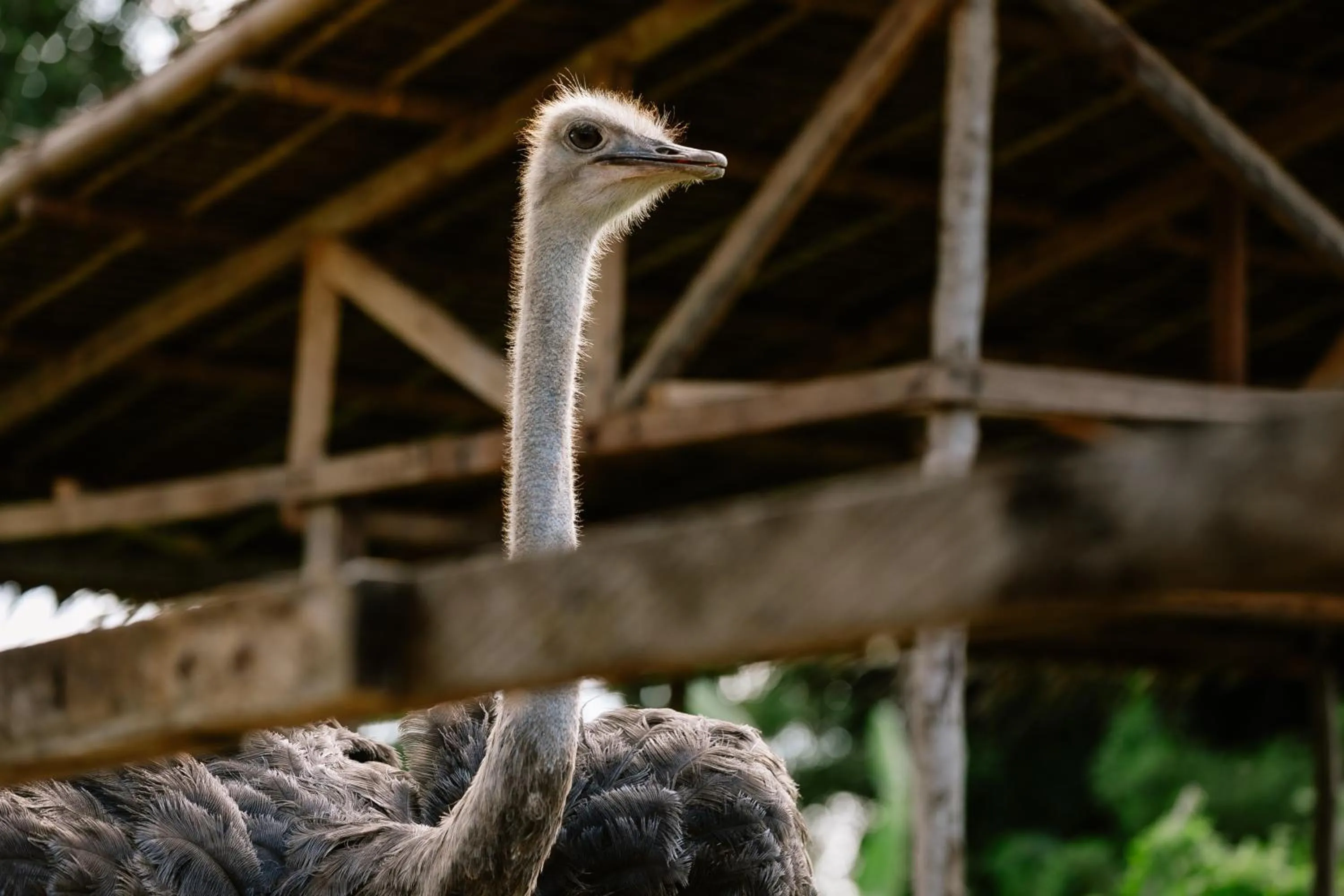 Property building in La Joya Farm Resort & Spa