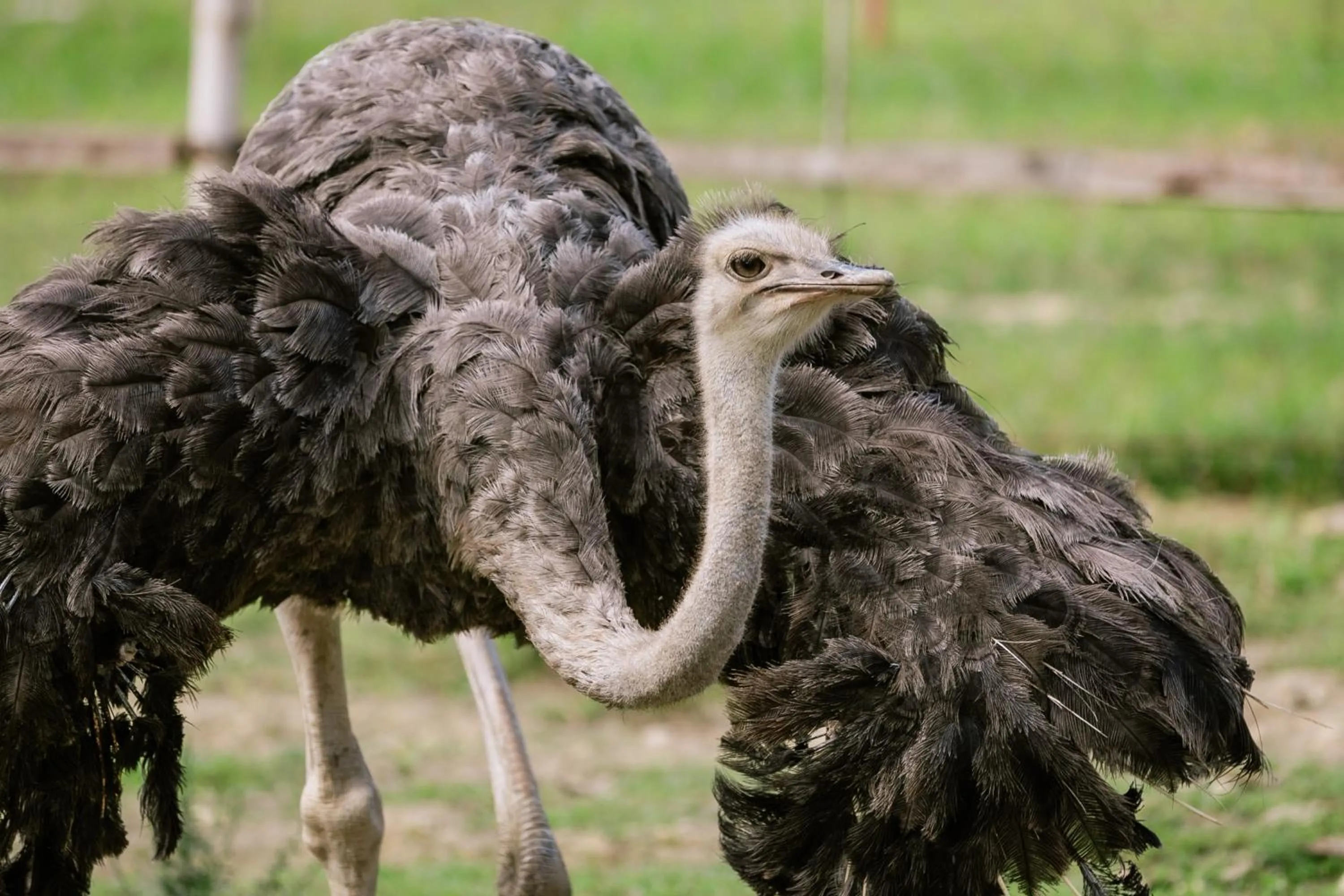 Property building in La Joya Farm Resort & Spa