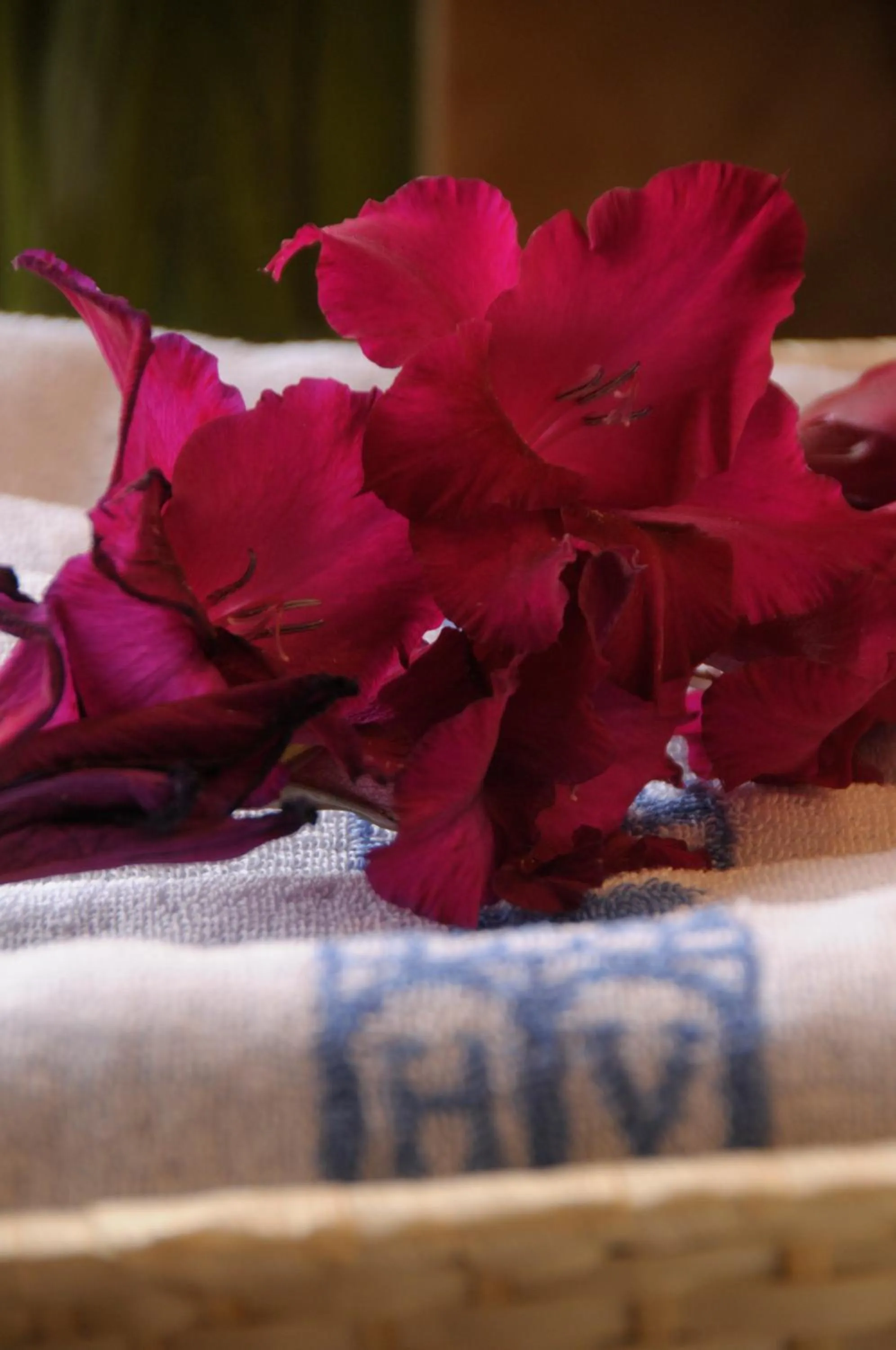 Decorative detail in Hotel II Virrey