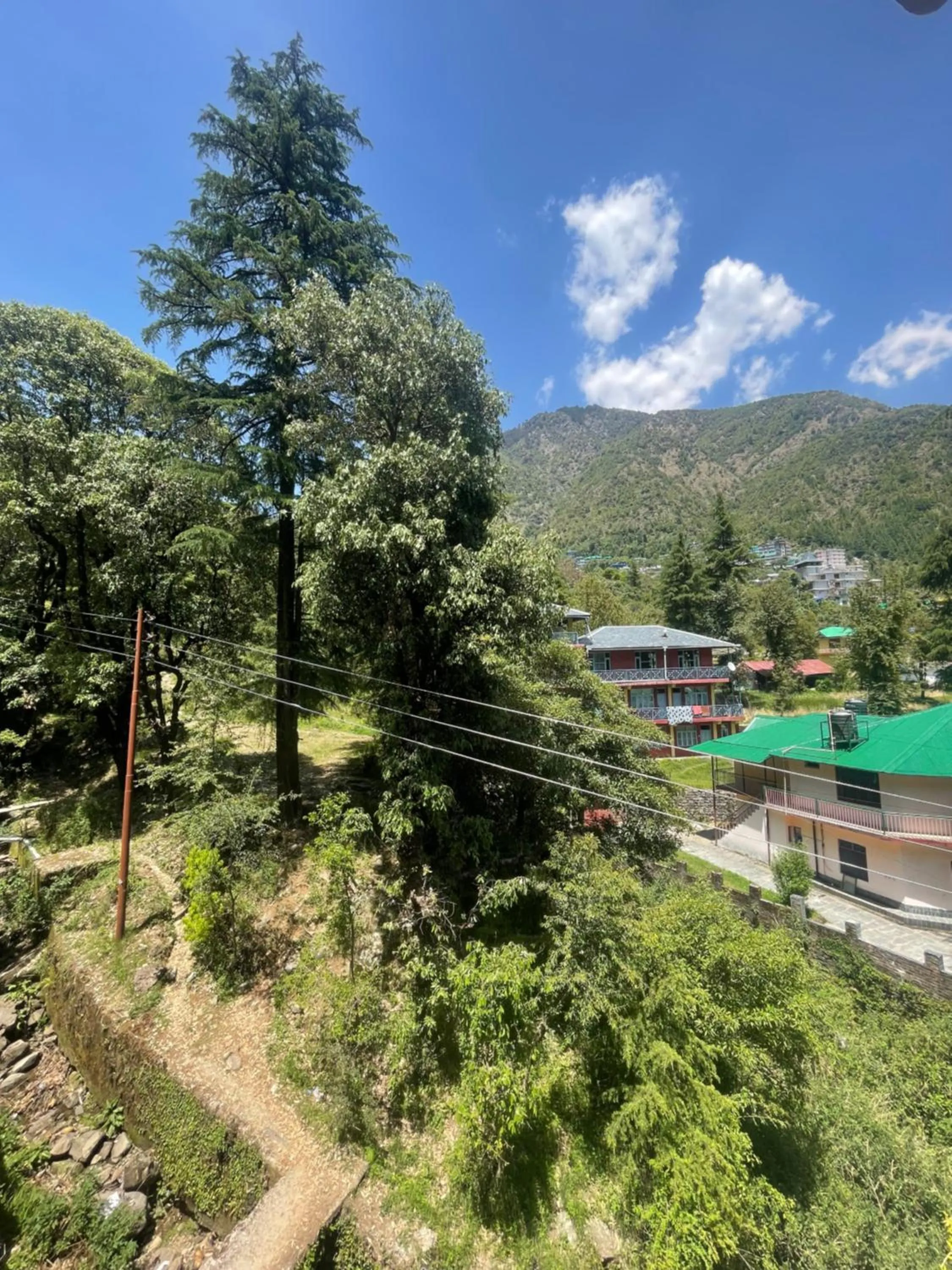 Natural landscape in Eevolve Dharamkot - An Eco Hostel
