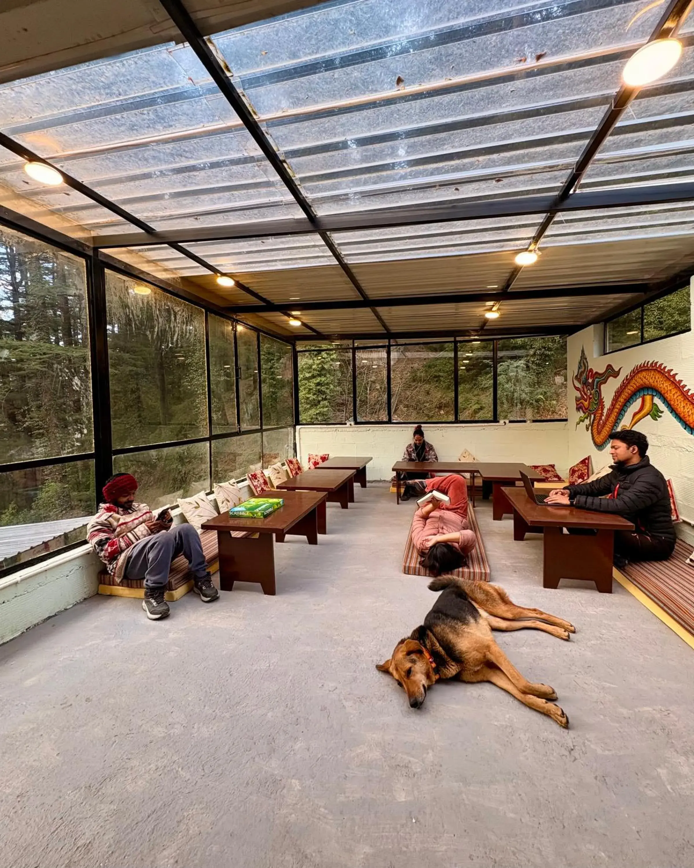 View (from property/room) in Eevolve Dharamkot - An Eco Hostel View (from property/room) in Eevolve Dharamkot - An Eco Hostel