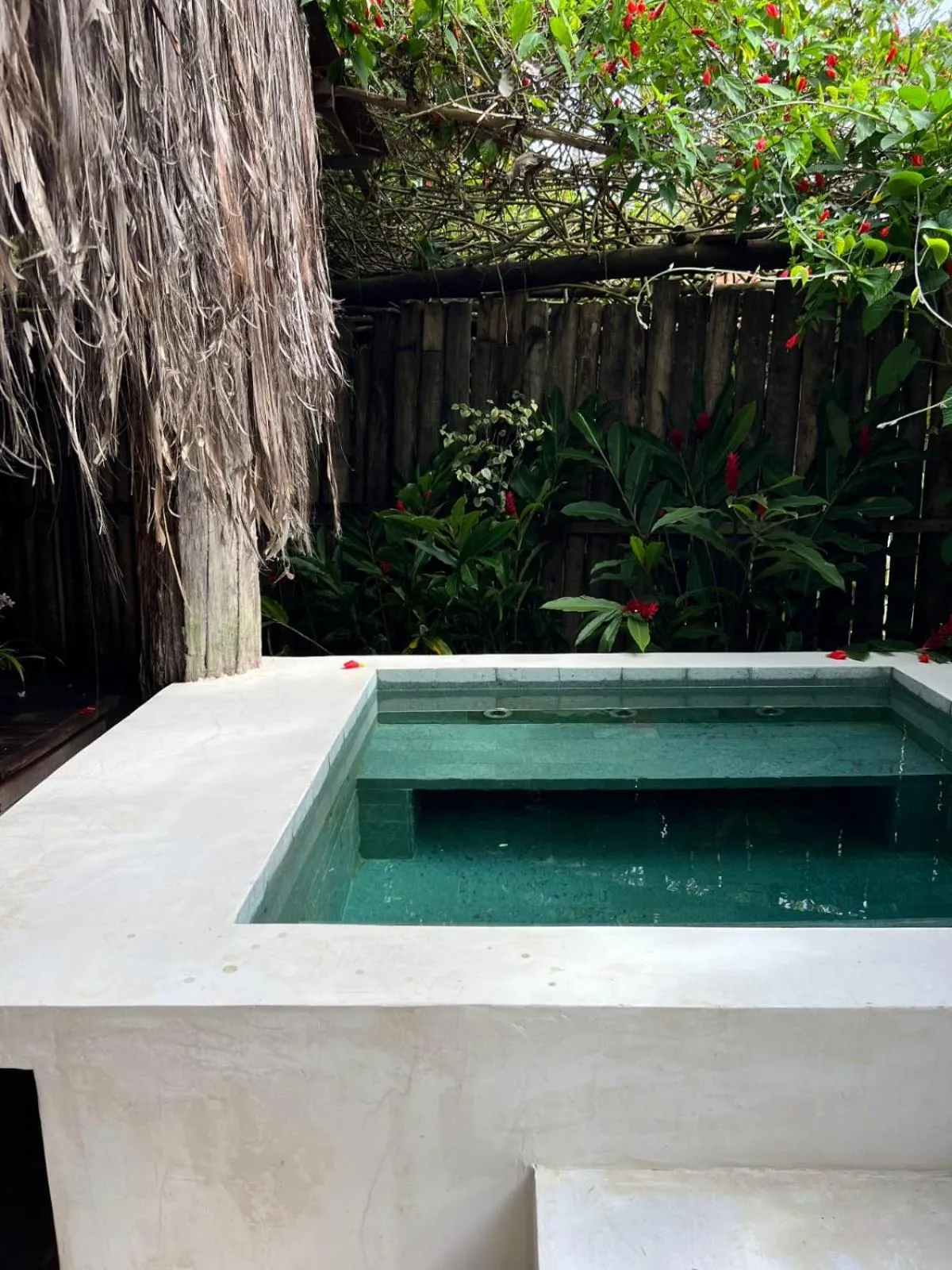 Pool view in Pousada Casa da Praia
