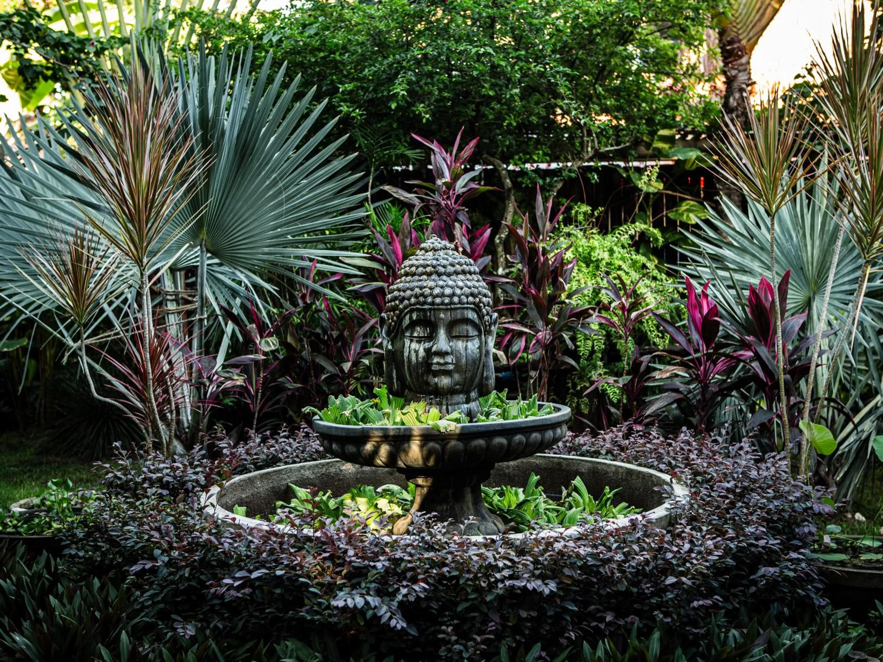 Garden in Pousada Casa da Praia