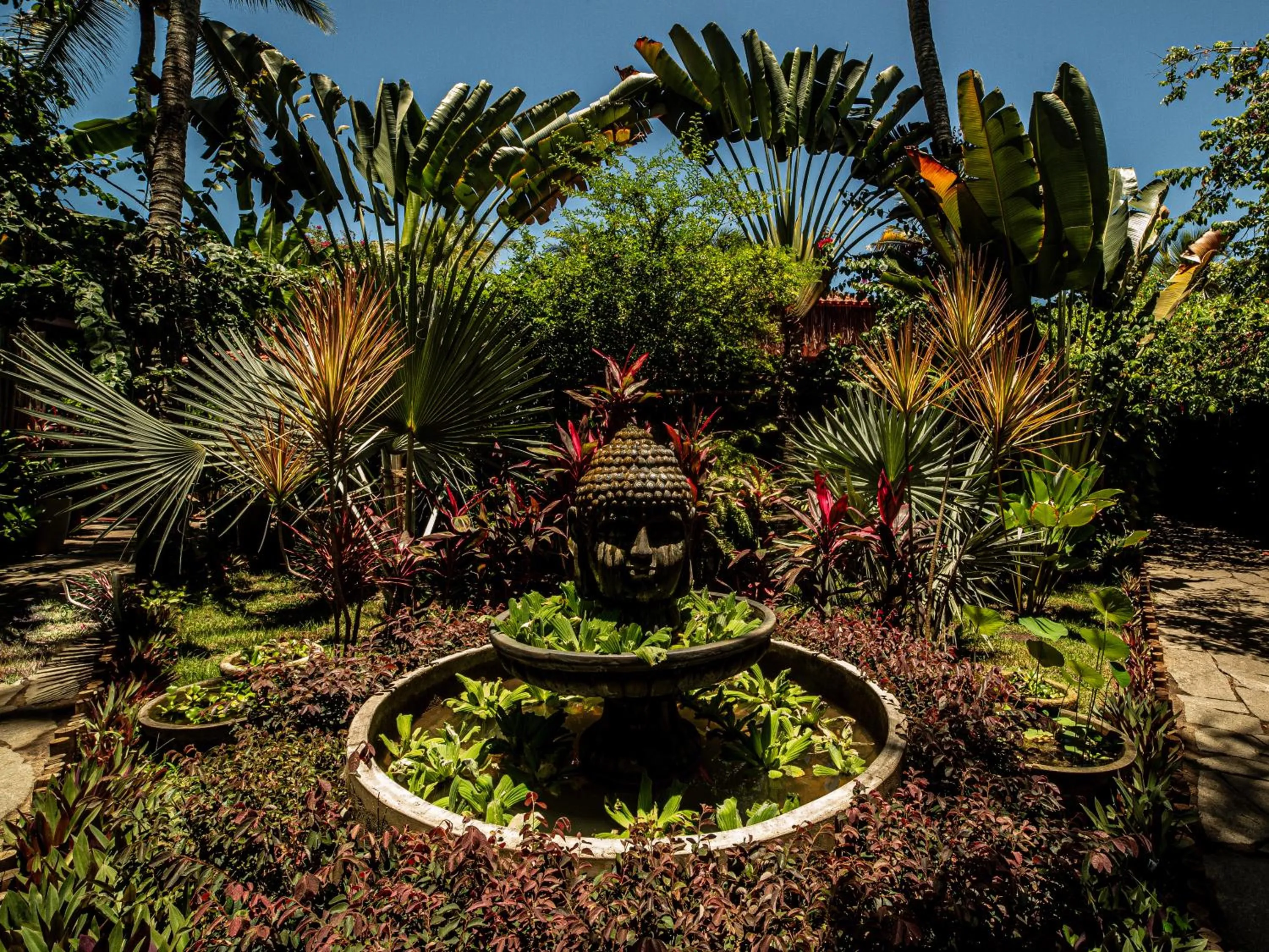 Garden in Pousada Casa da Praia