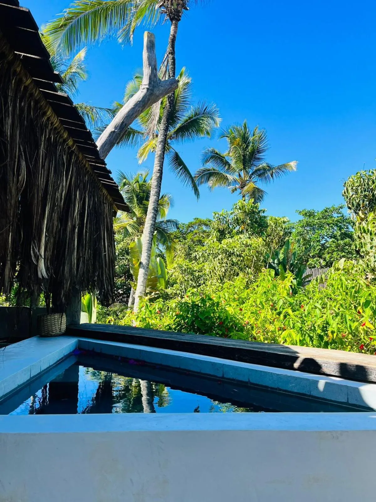 Day in Pousada Casa da Praia