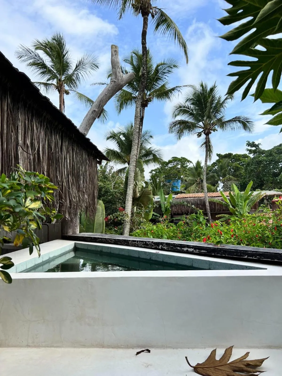 Day in Pousada Casa da Praia