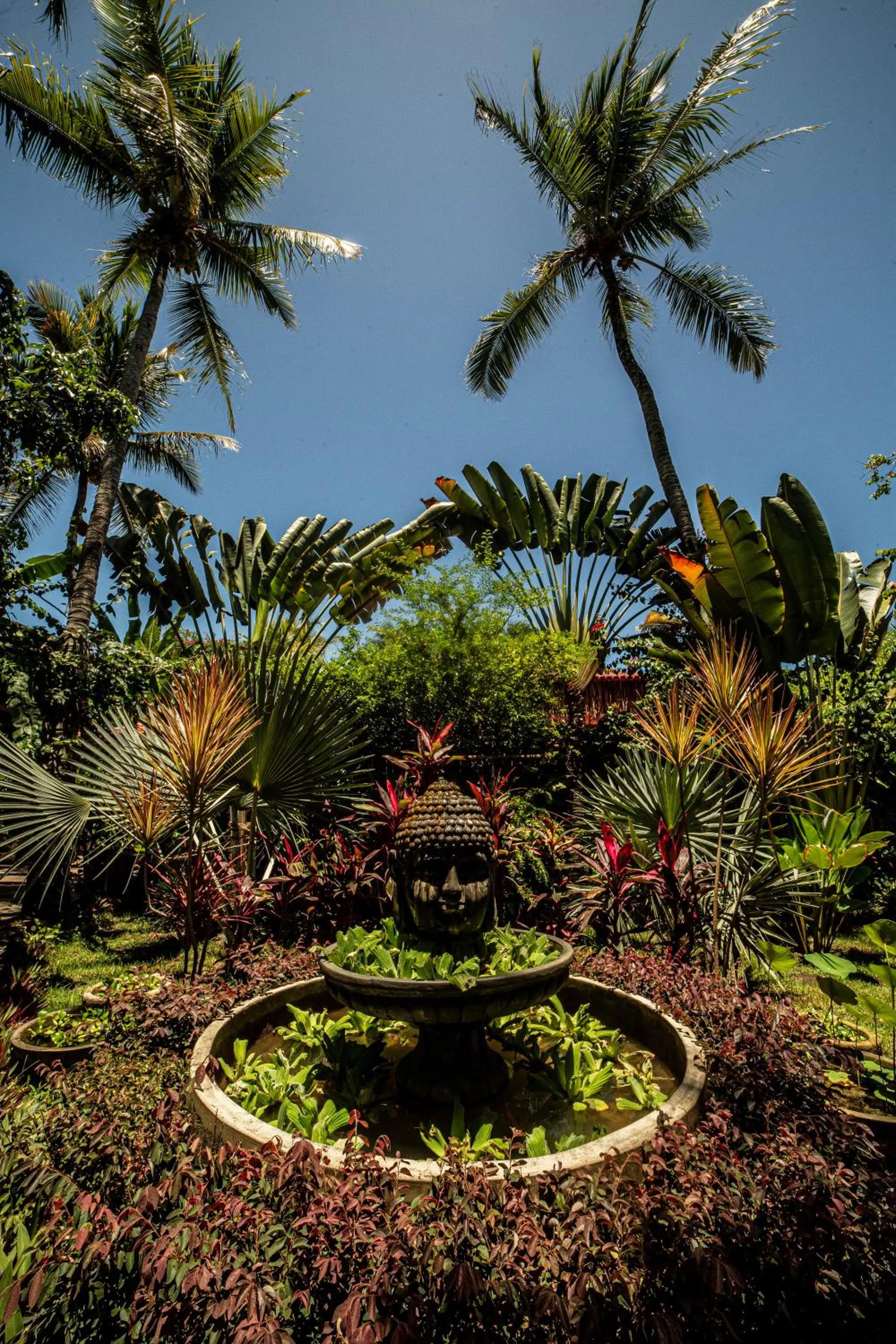 Garden in Pousada Casa da Praia