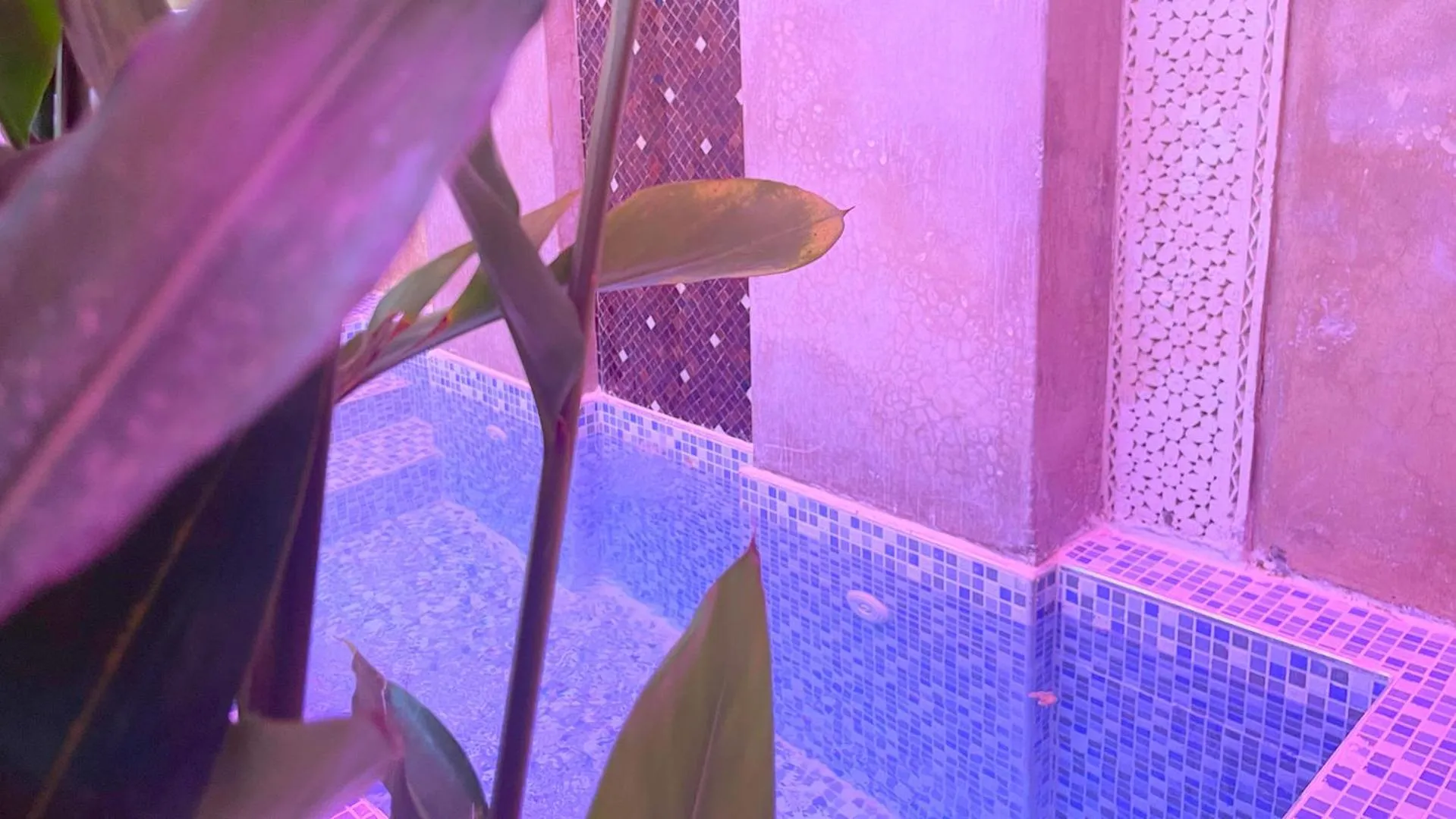 Swimming pool in Riad Pourpre Medina