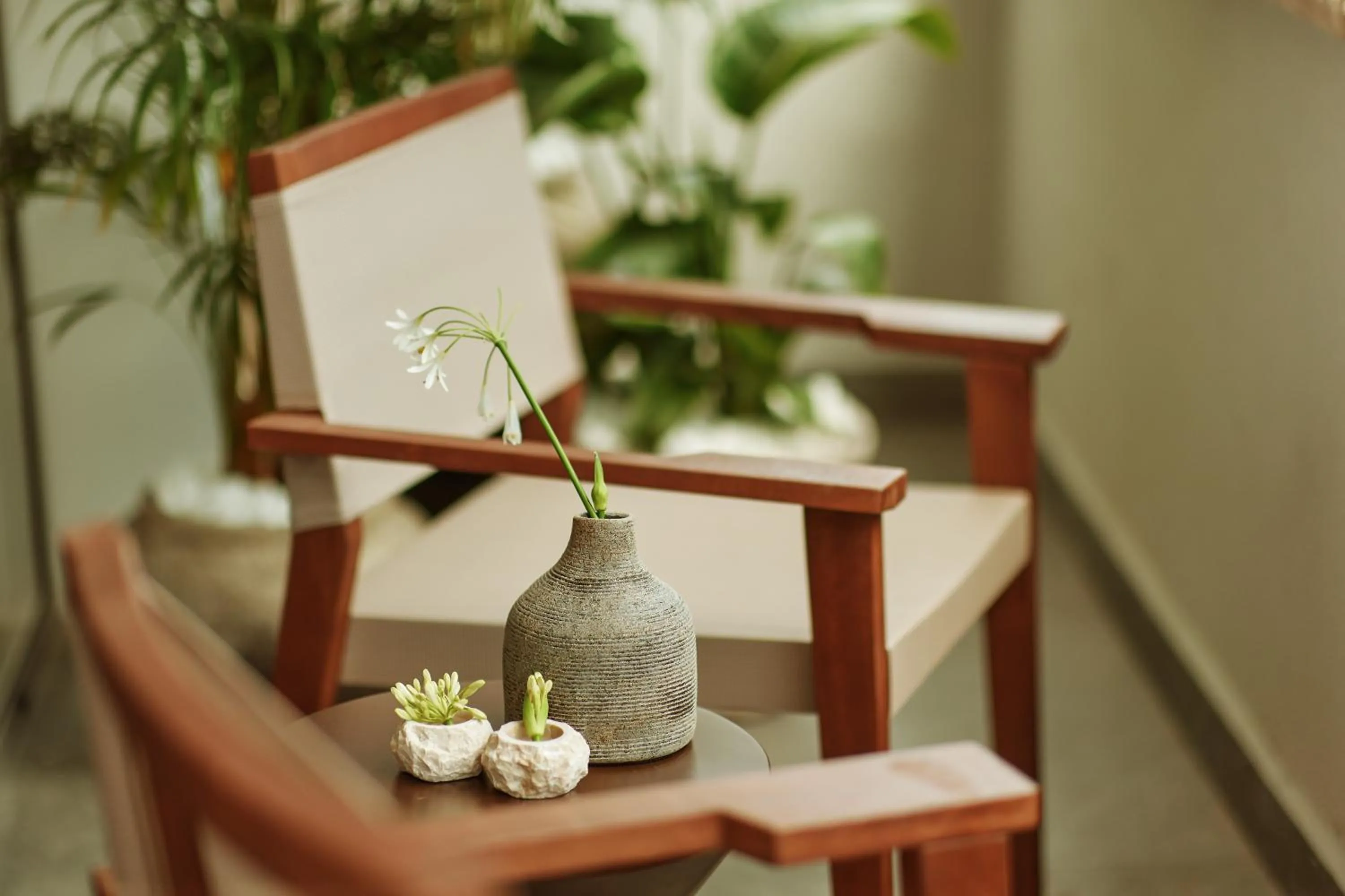 Balcony/Terrace in Casa Manor Boutique Hotel