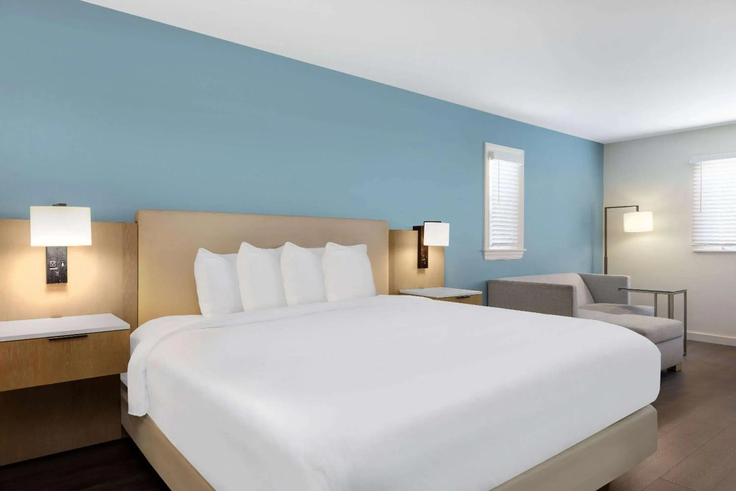 Photo of the whole room, Bed in Hotel Manteo, Trademark Collection by Wyndham Photo of the whole room, Bed in Hotel Manteo, Trademark Collection by Wyndham