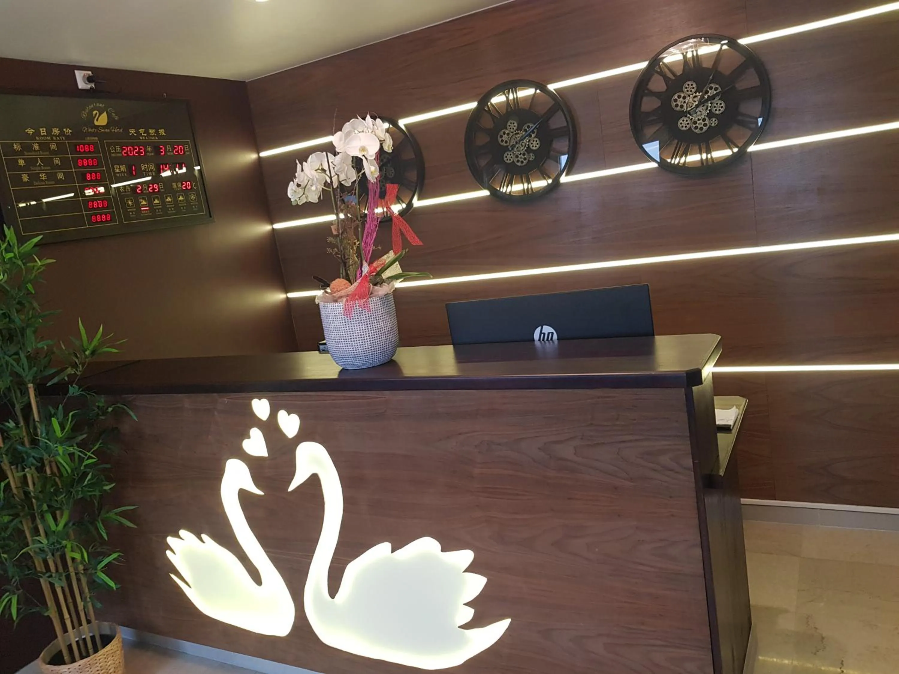 Seating area in hotel whiteswan