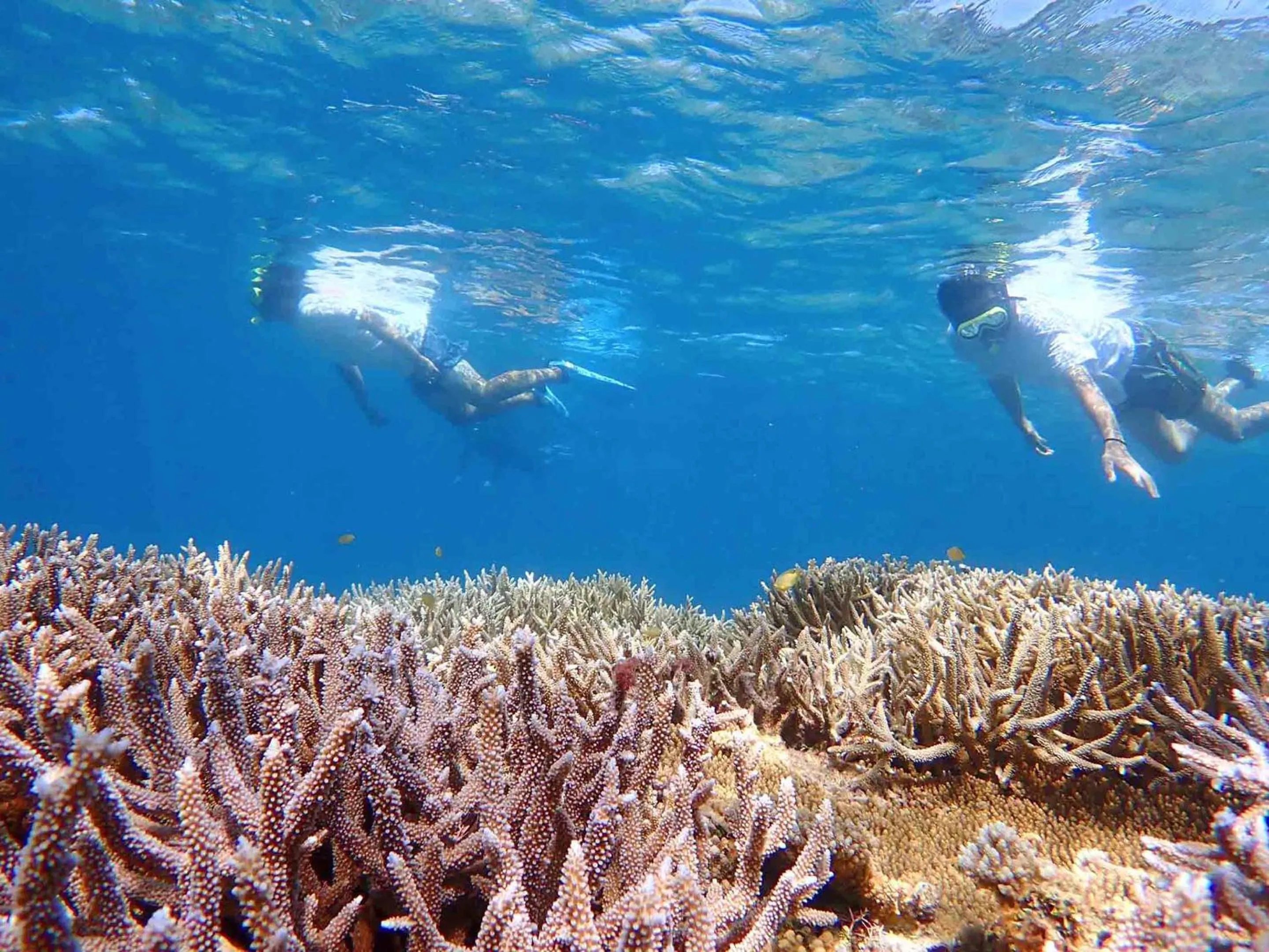 Activities in MORIYA iriomote HOTEL