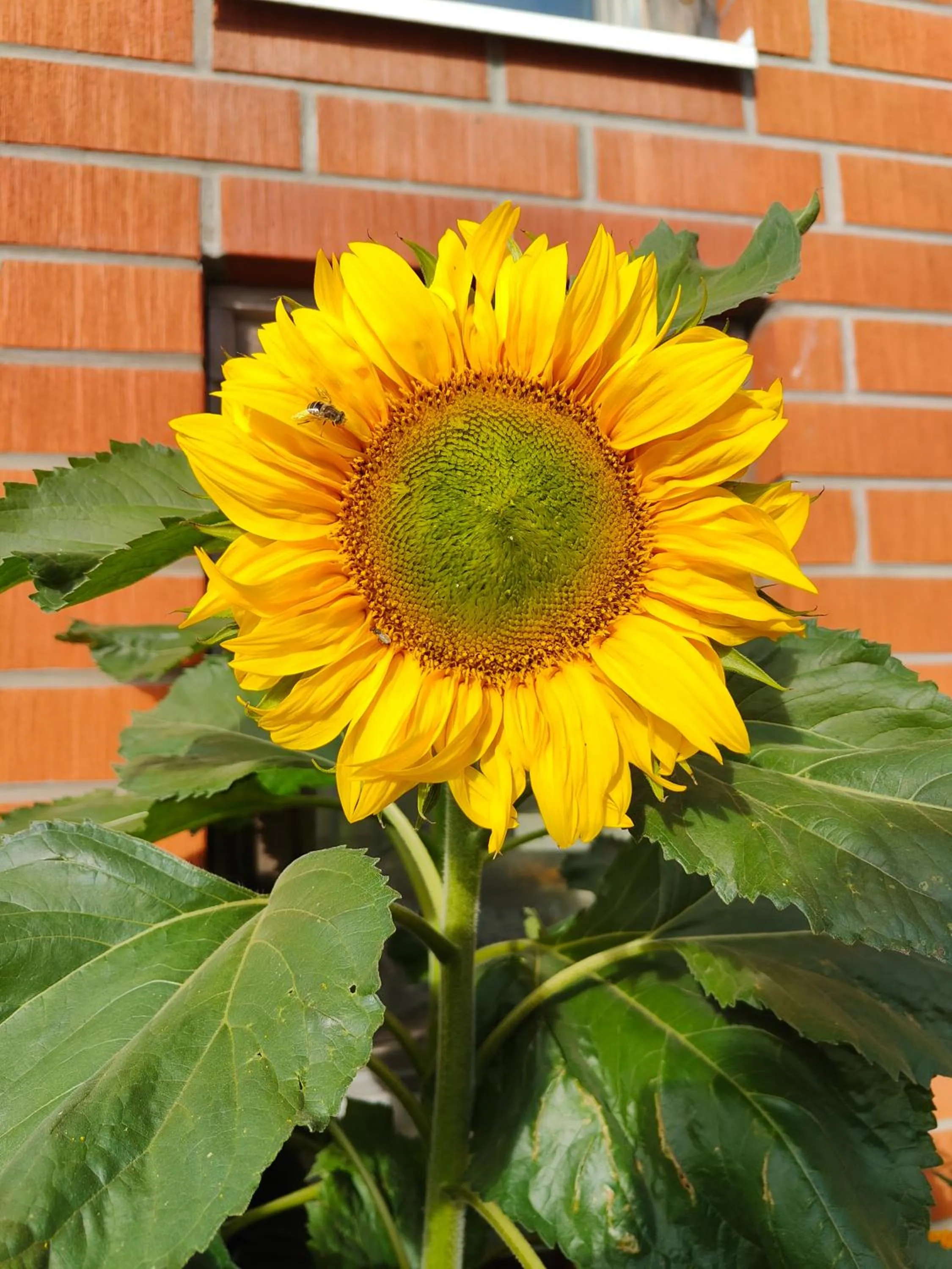 Facade/entrance in Hotel Karhu