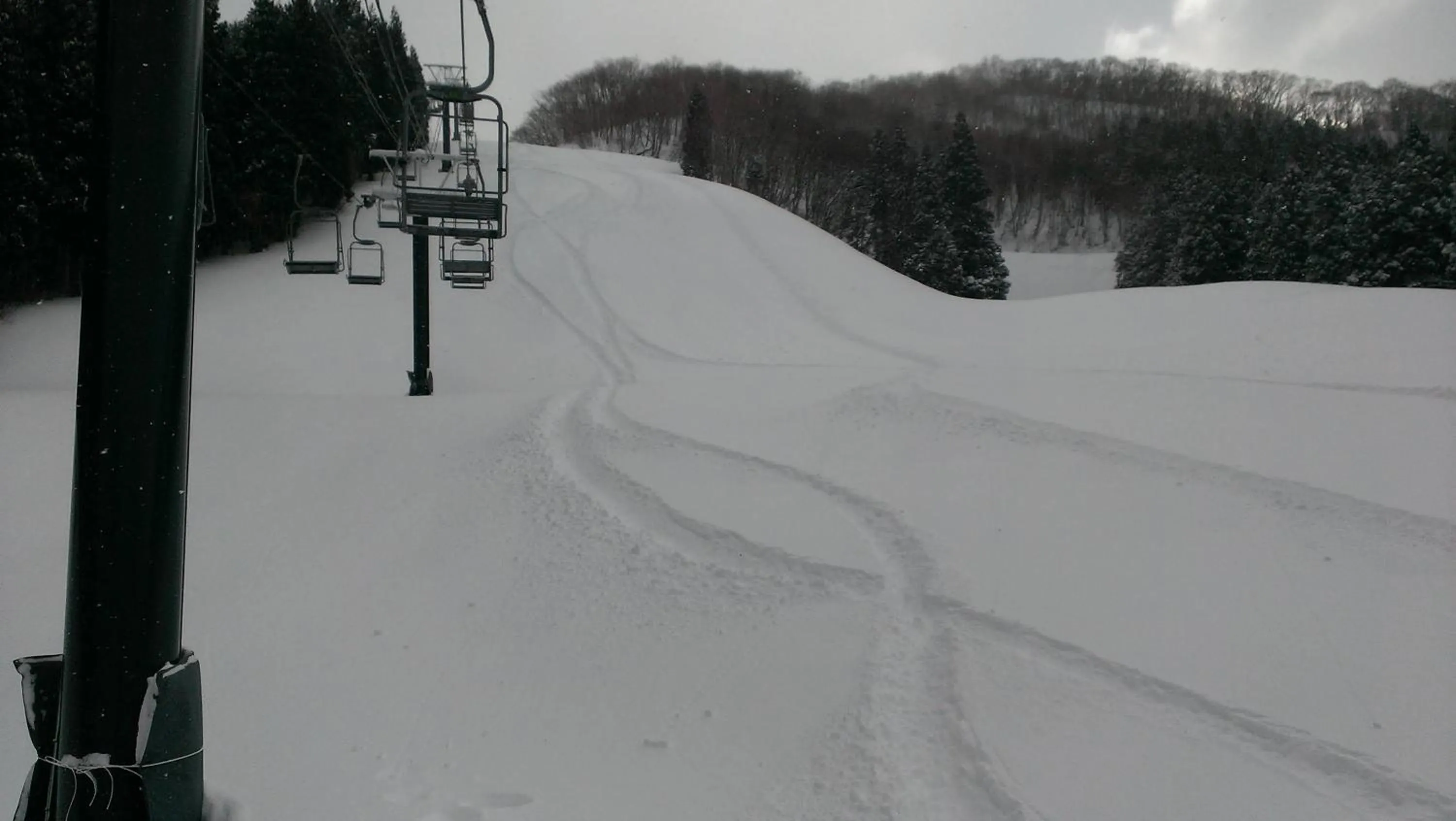 Skiing in Tanigawa Valley Lodge & Coffee Roastery