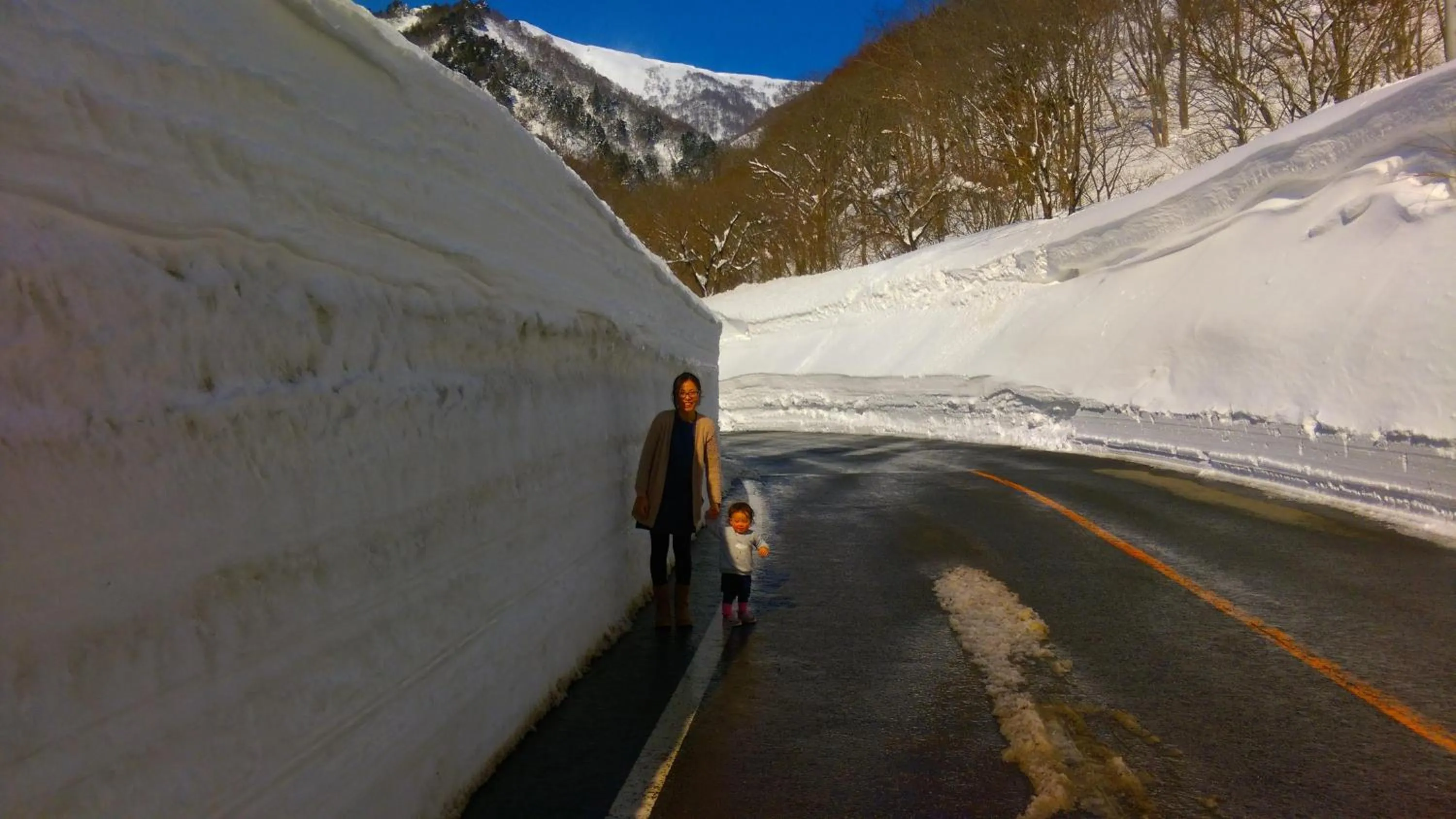 Natural landscape in Tanigawa Valley Lodge & Coffee Roastery